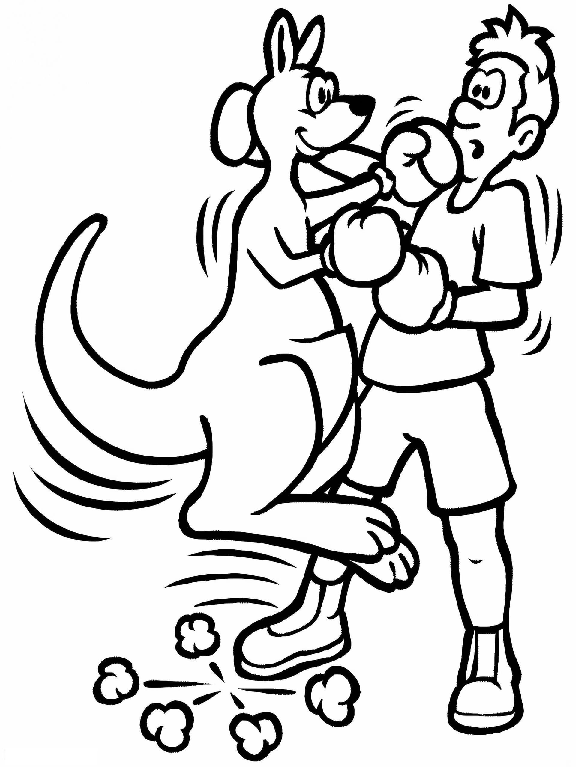Boxing Sports