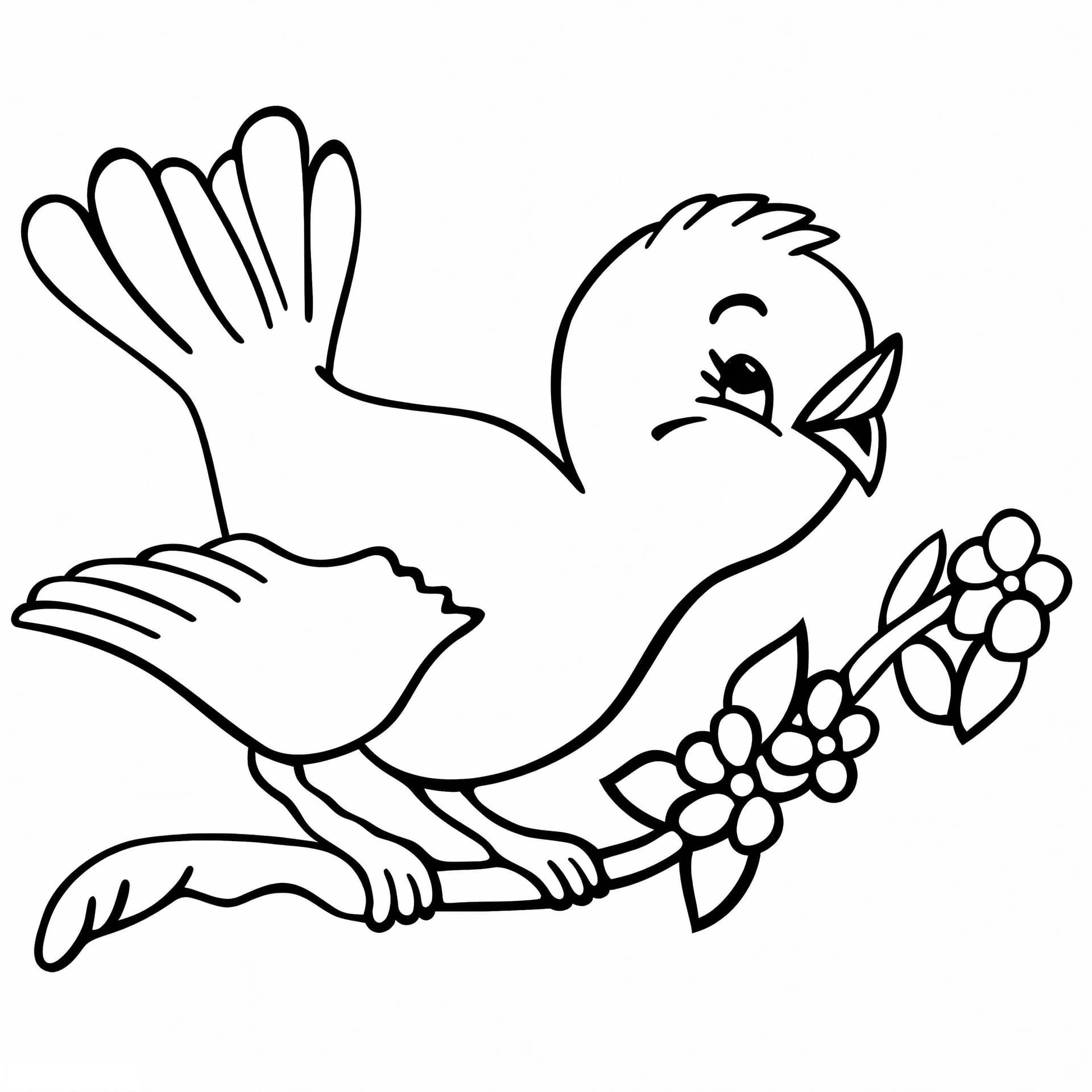Bird On Branch A4