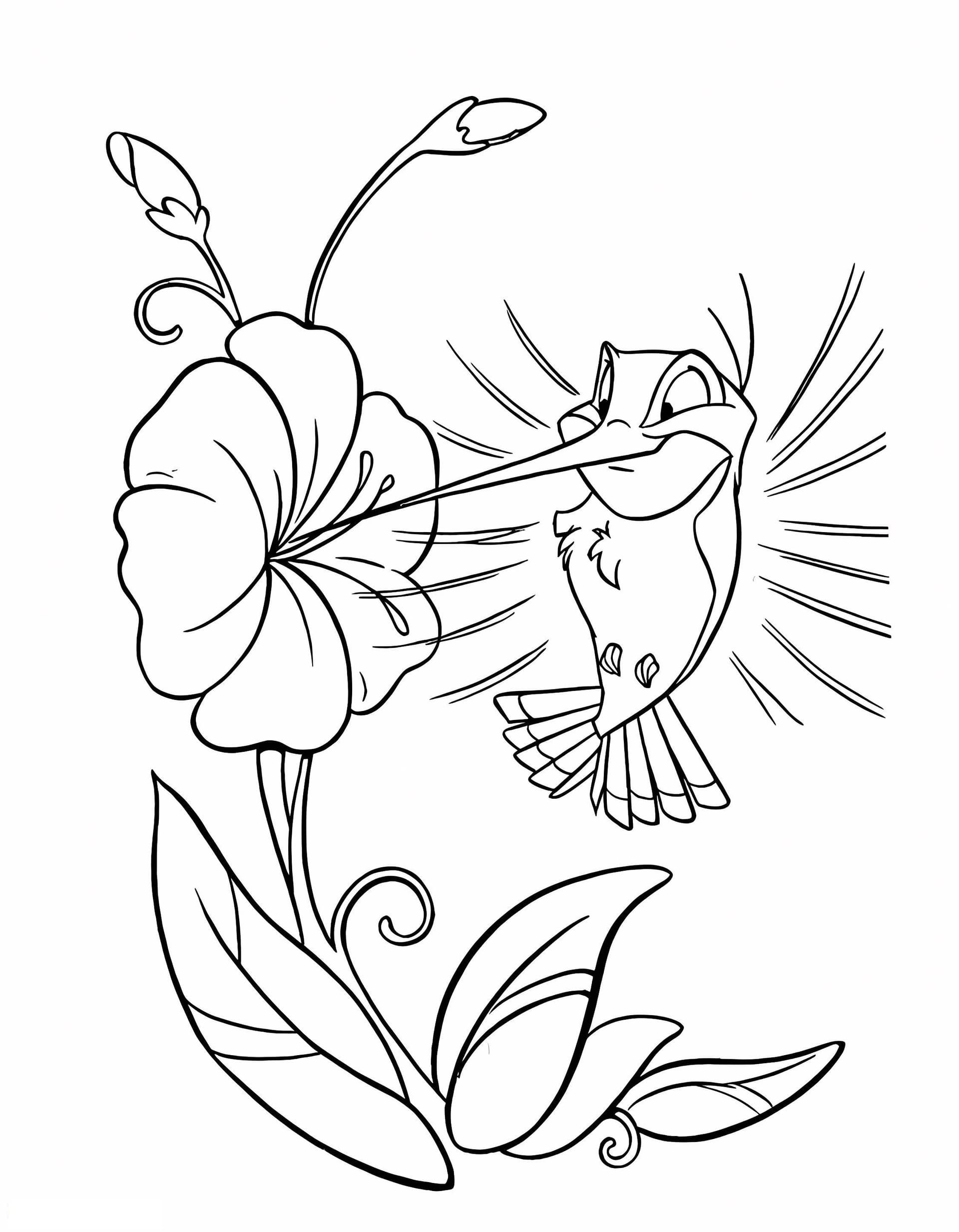 Flit Sipping Nectar A4