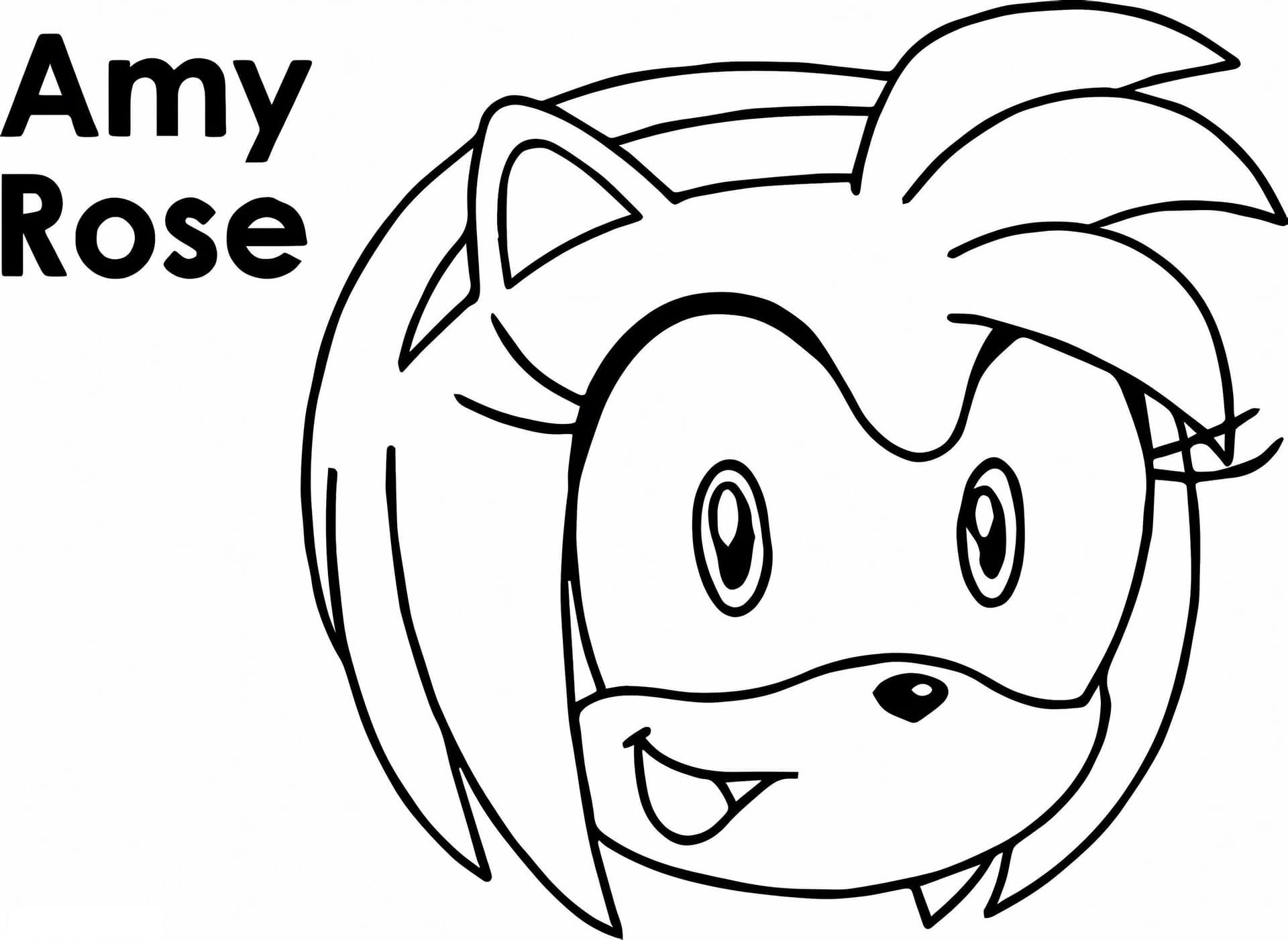 Amy Roses Face