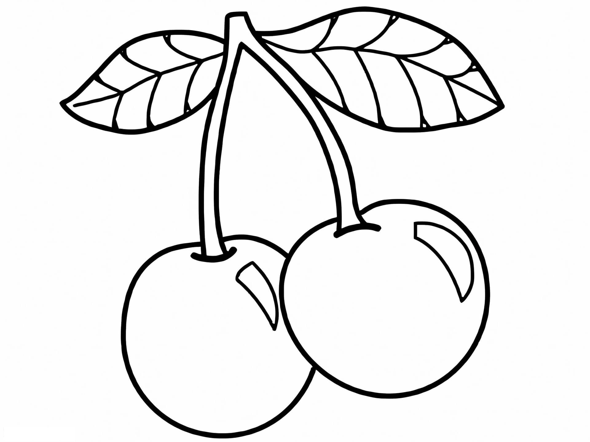 Basic Two Cherries