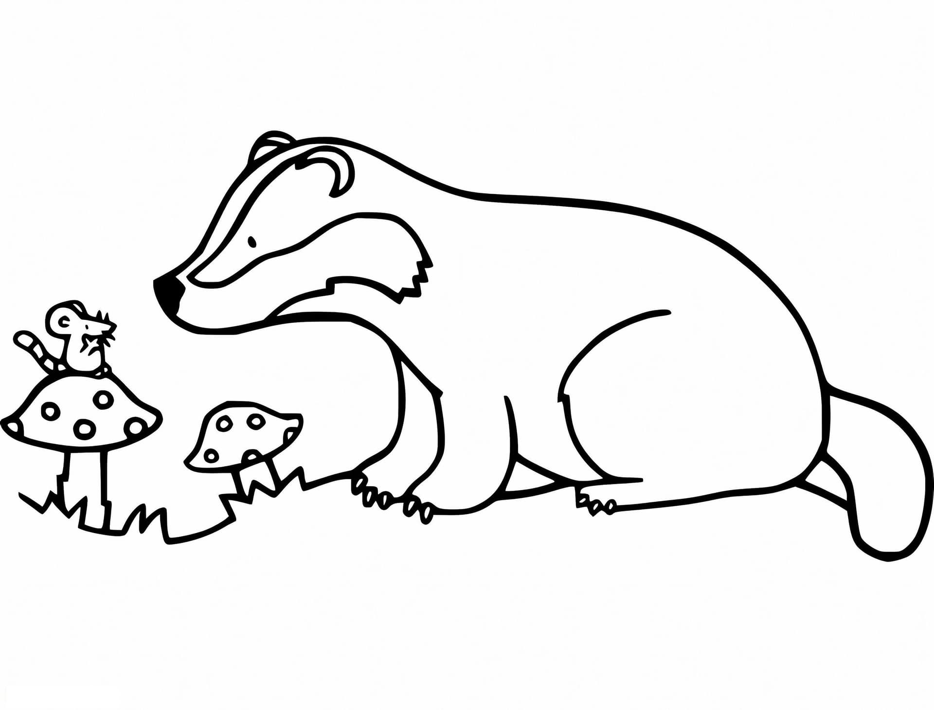 Badger And Mouse