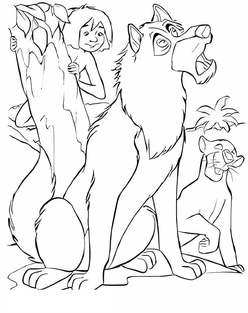 Bagheera And Two Friends