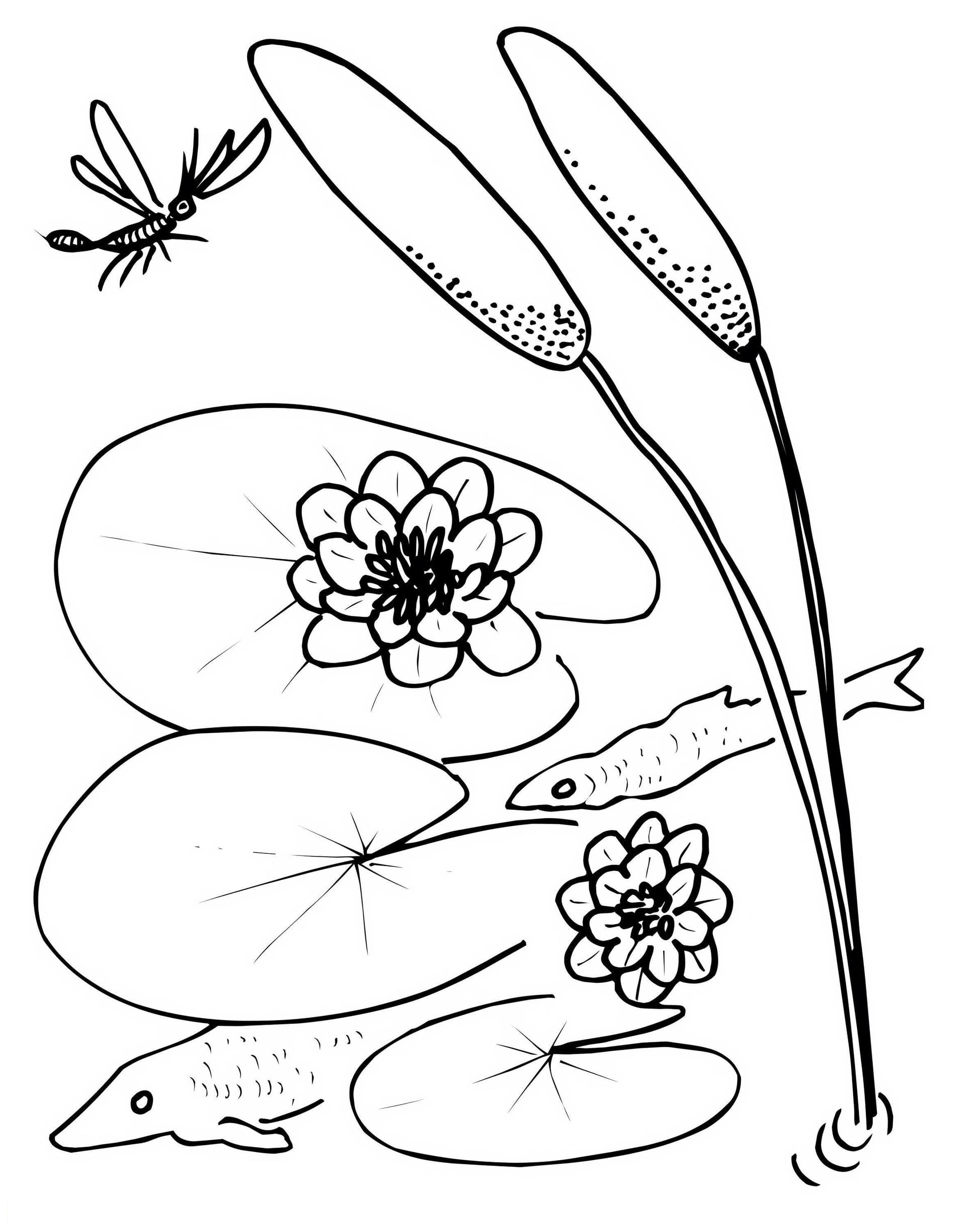 Bee And Lily Pad