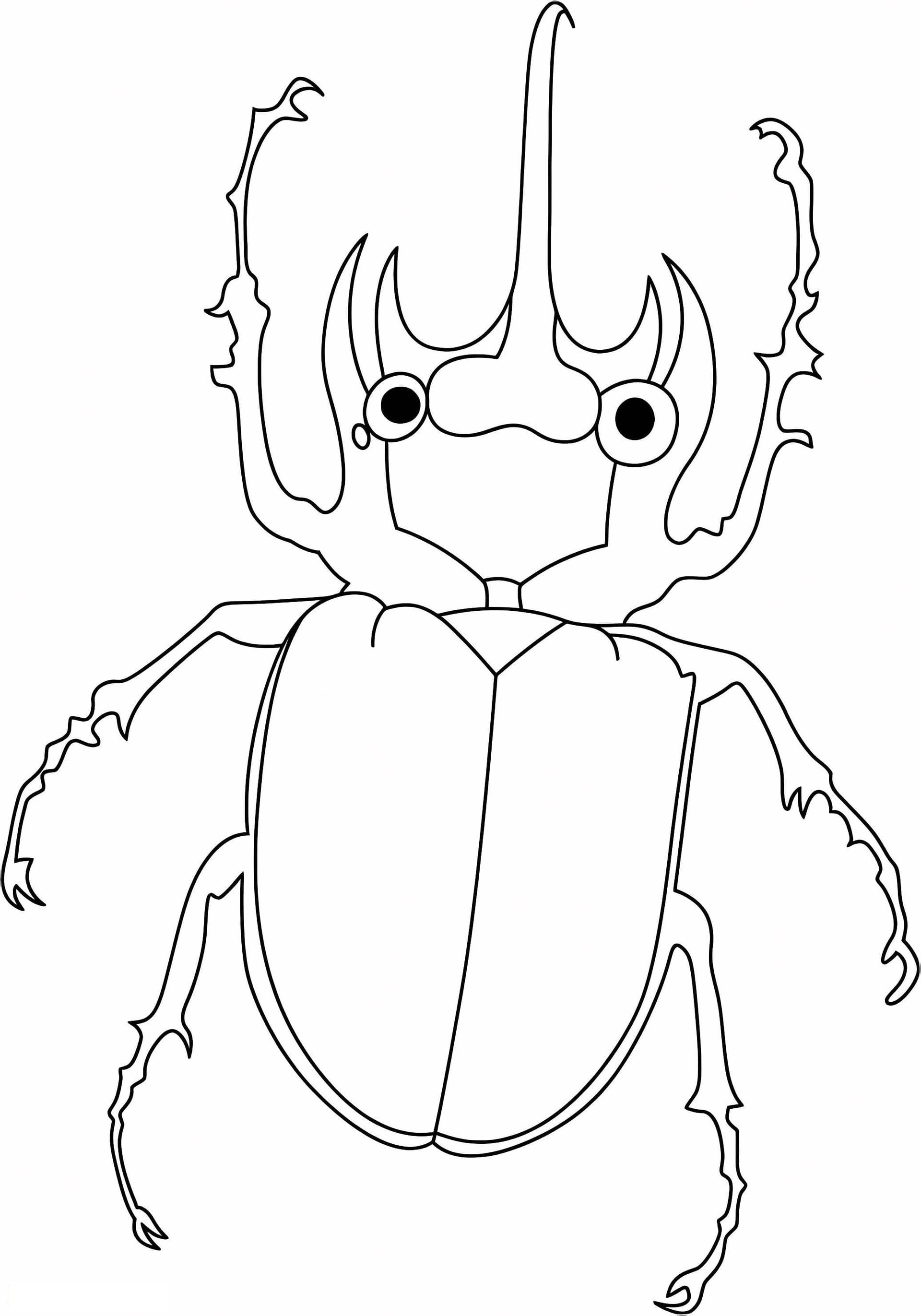 Beetle To Print