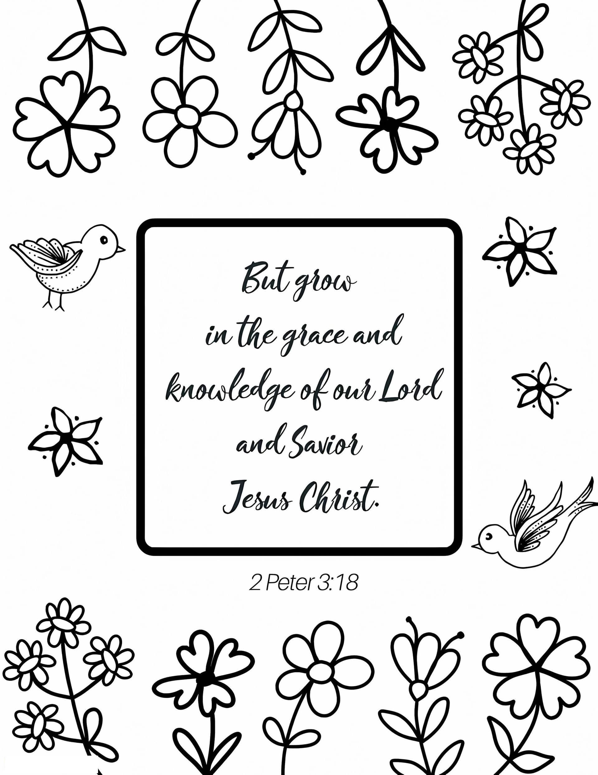 Bible Verse 17