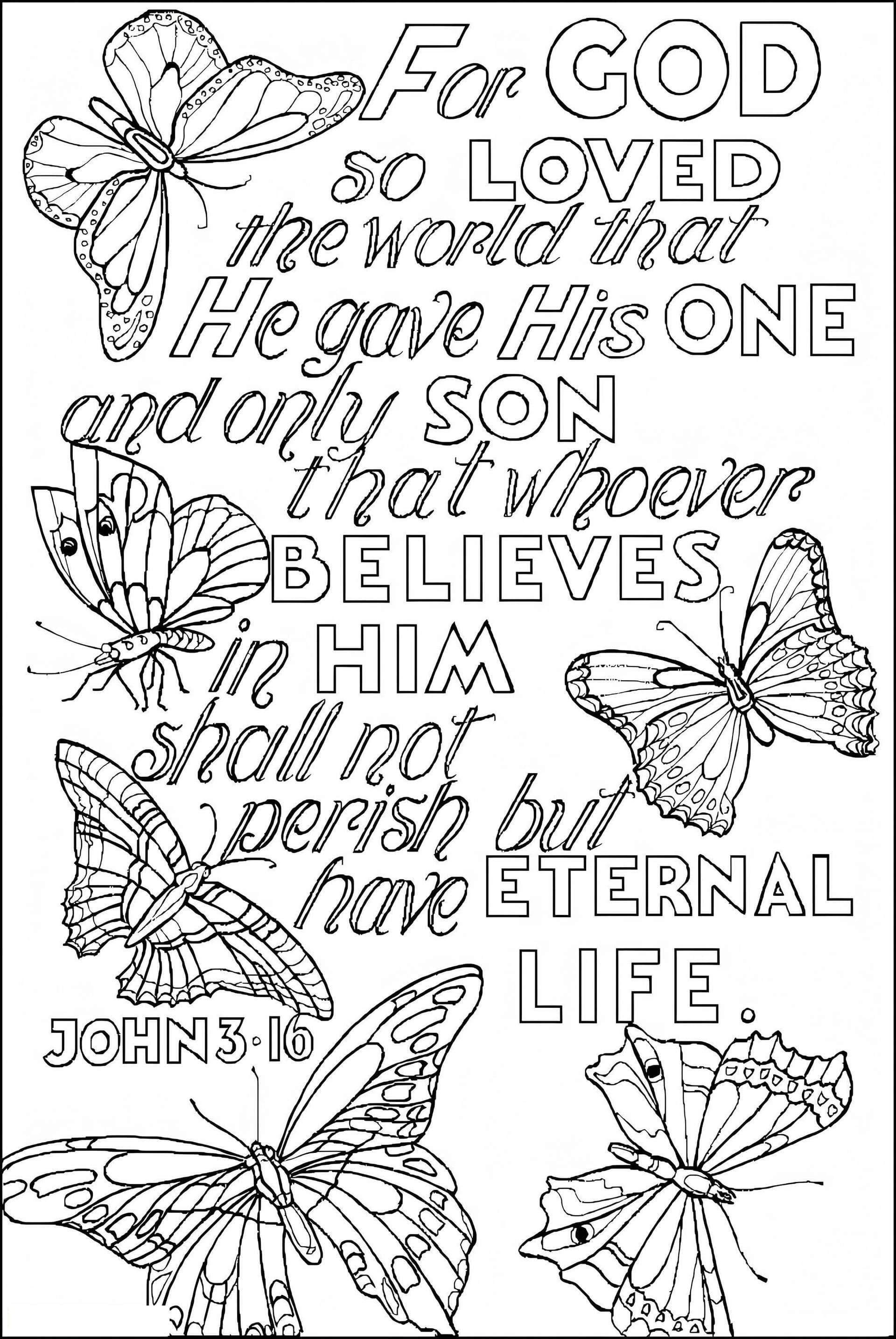Bible Verse 7