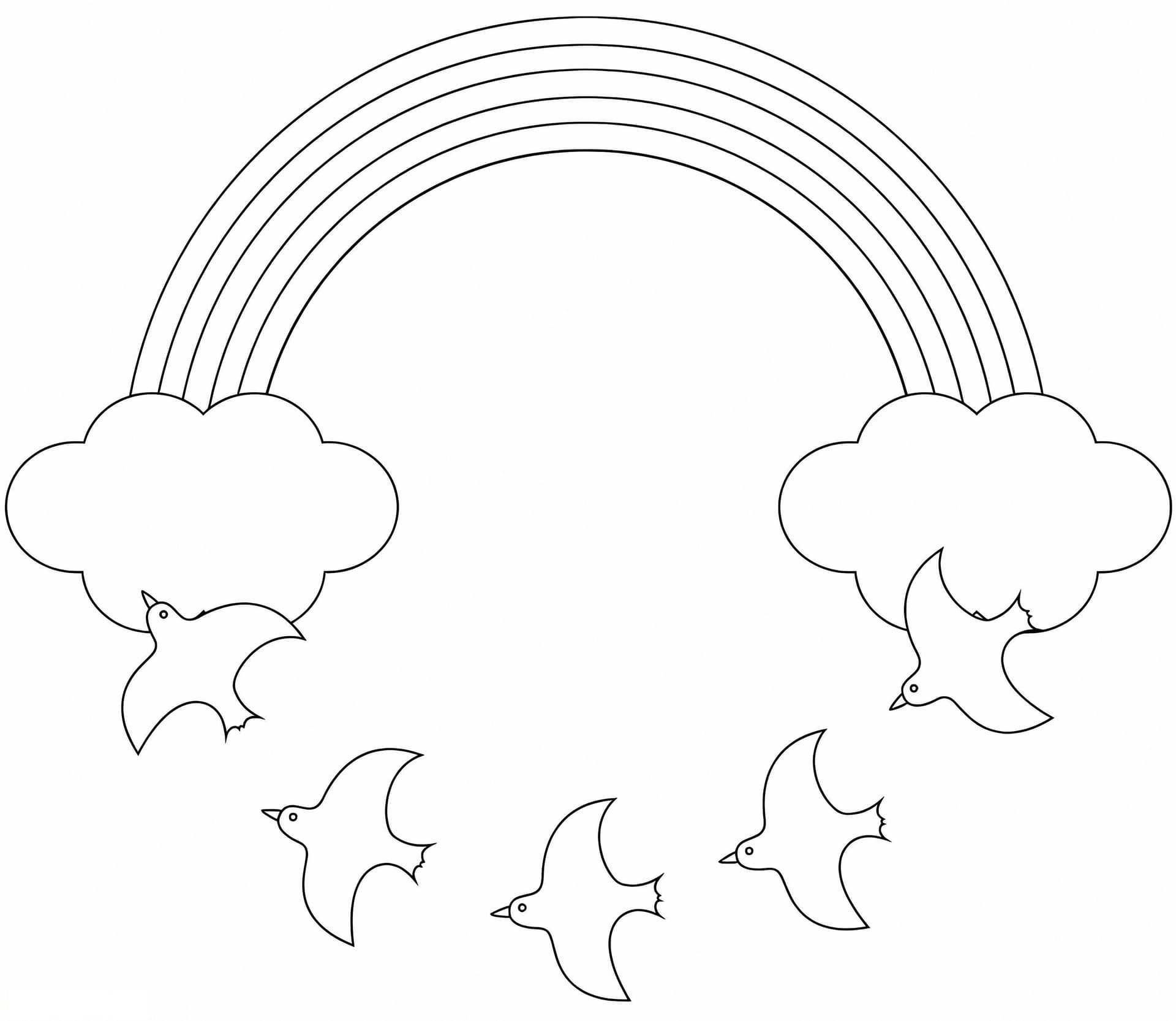 Birds And Rainbow
