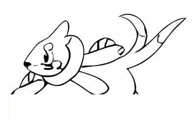 Buizel