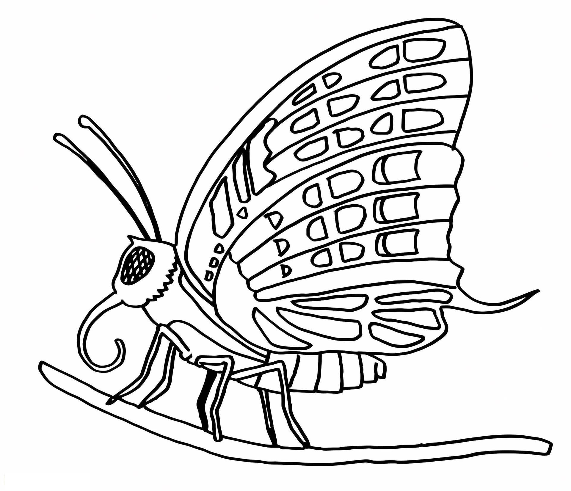 Butterfly On A Branch