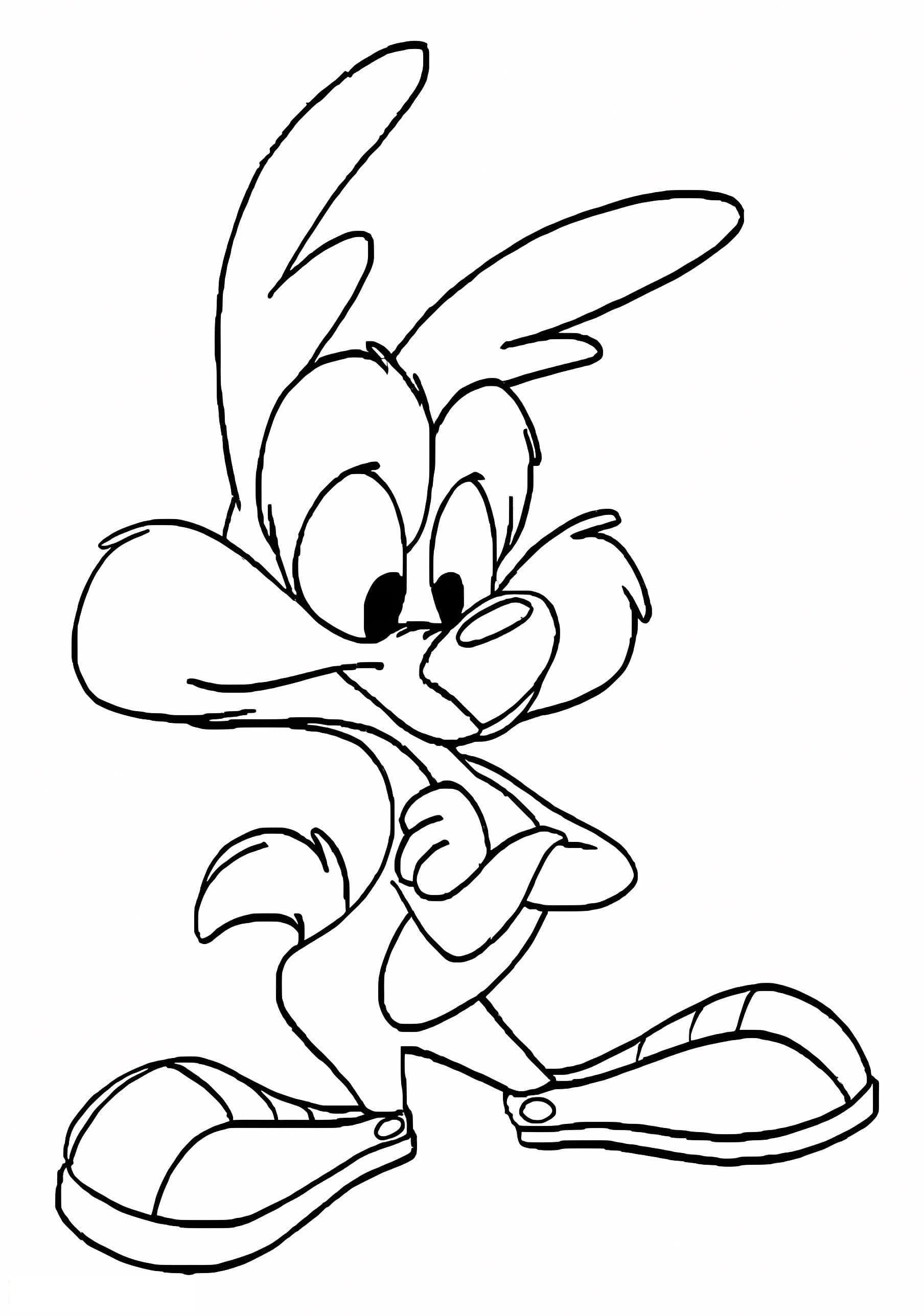 Calamity Coyote From Tiny Toon Adventures