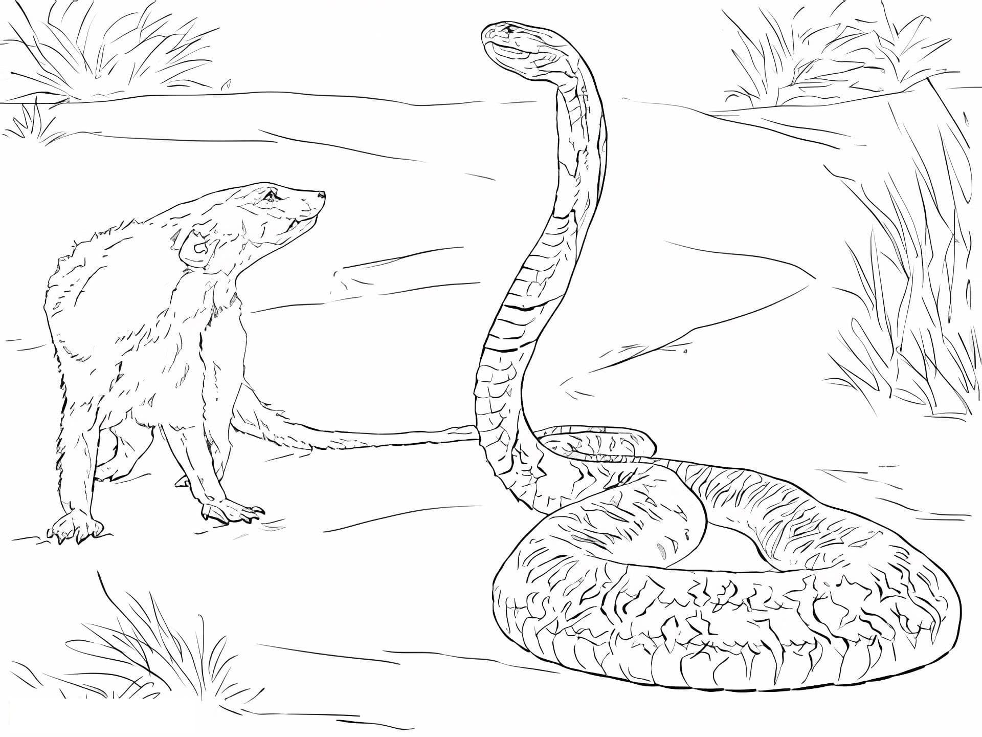 Hard Chameleon