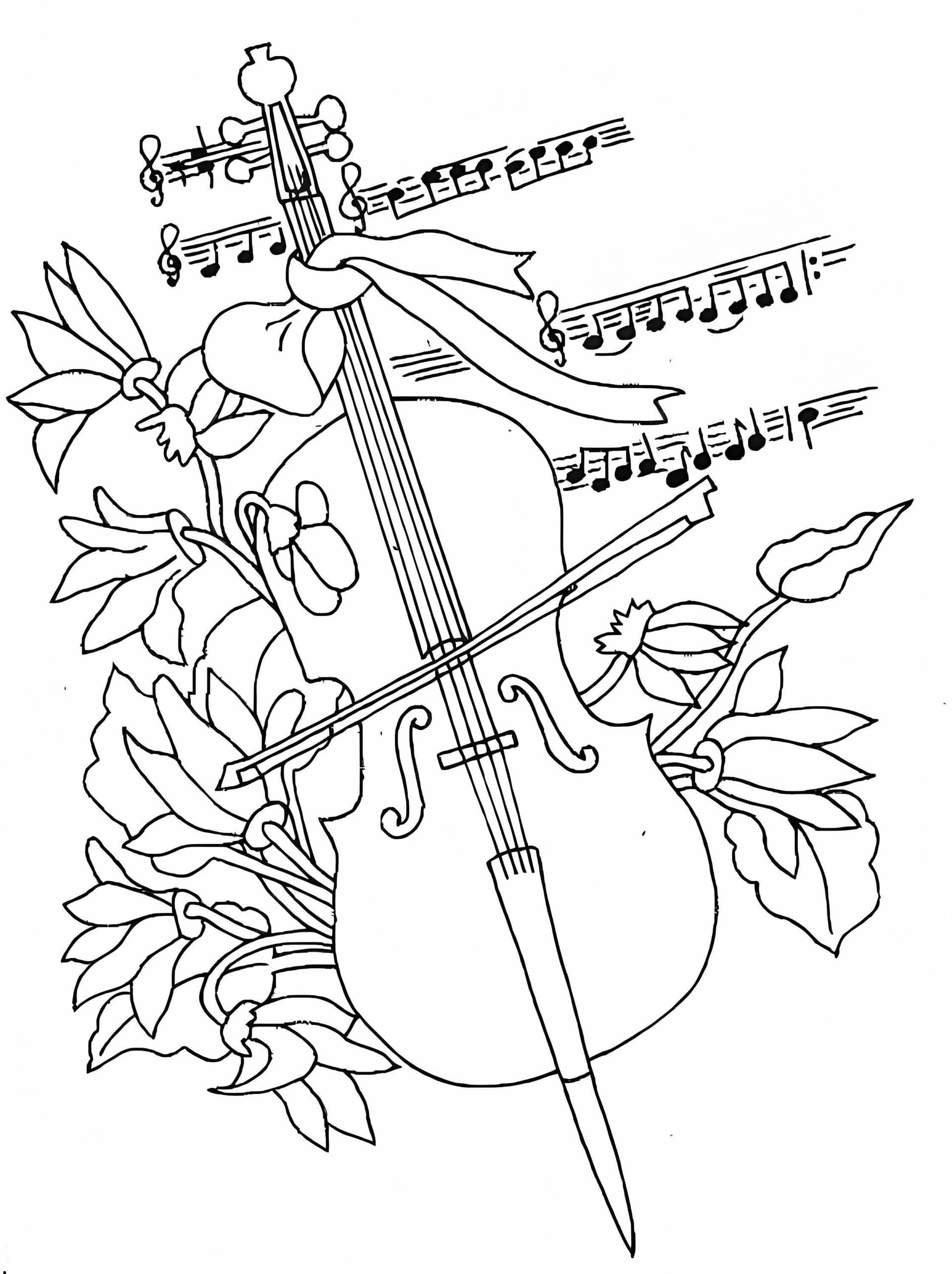 Cello 1