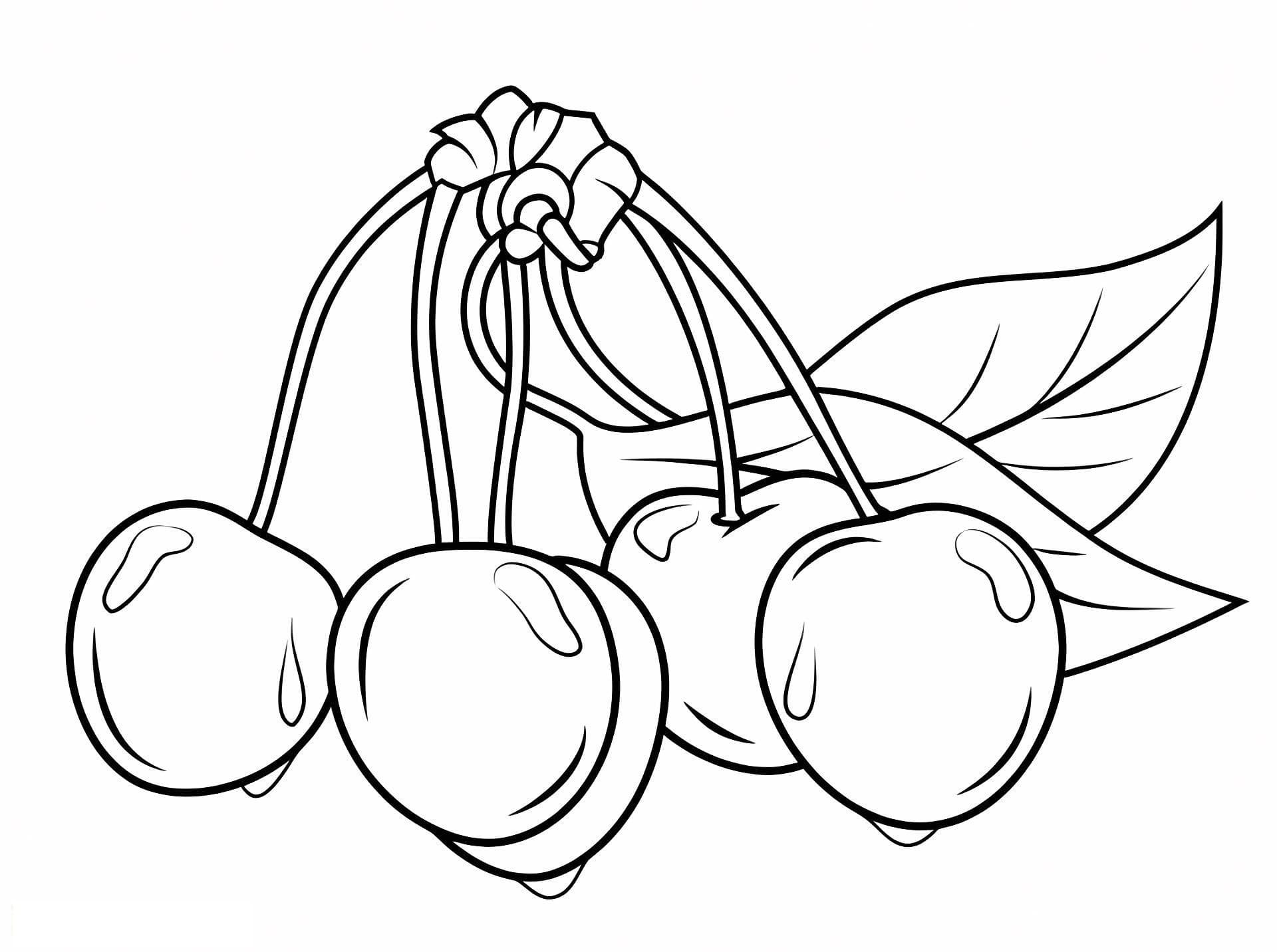 Cherries With Leaves