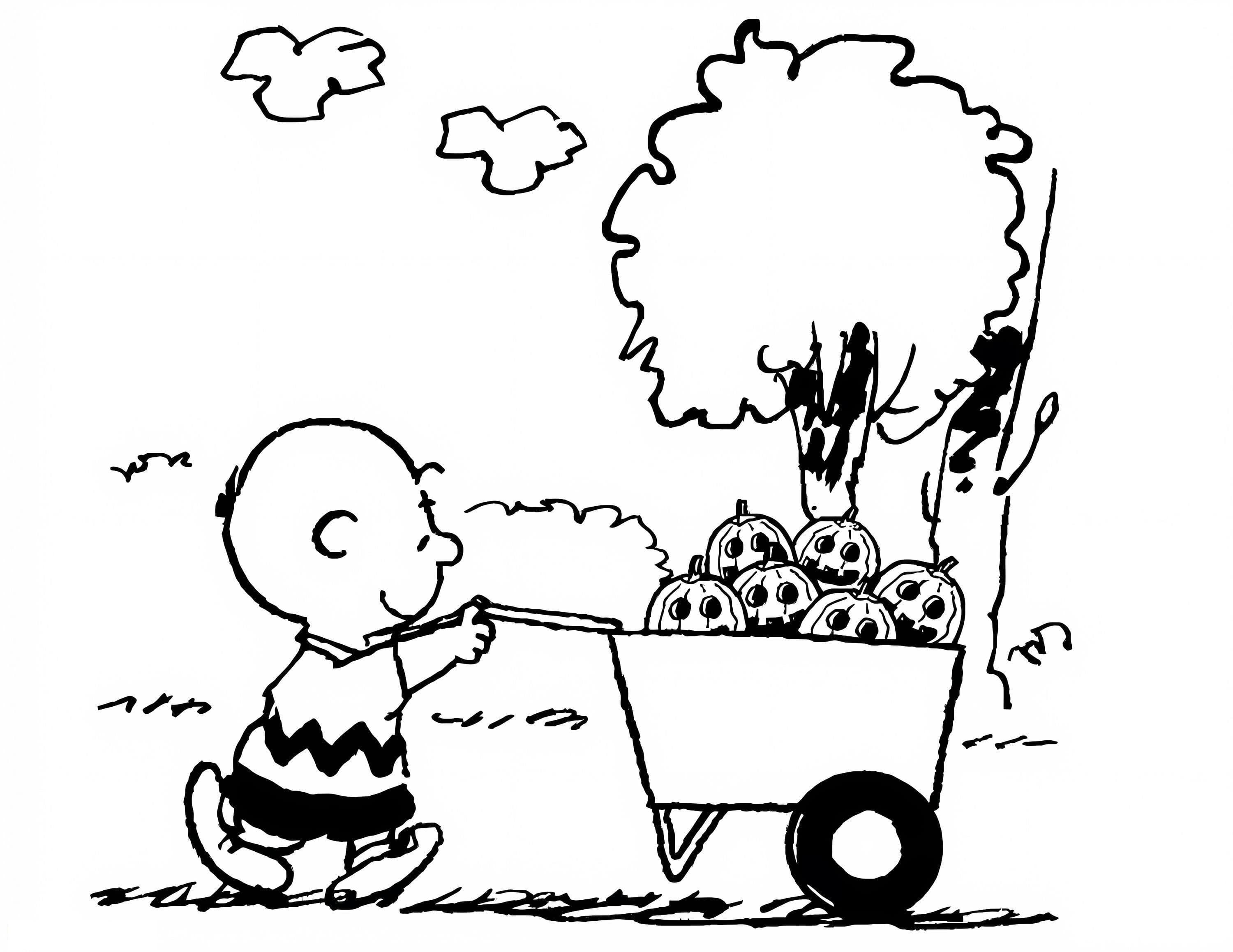 Charlie Brown And Pumpkins