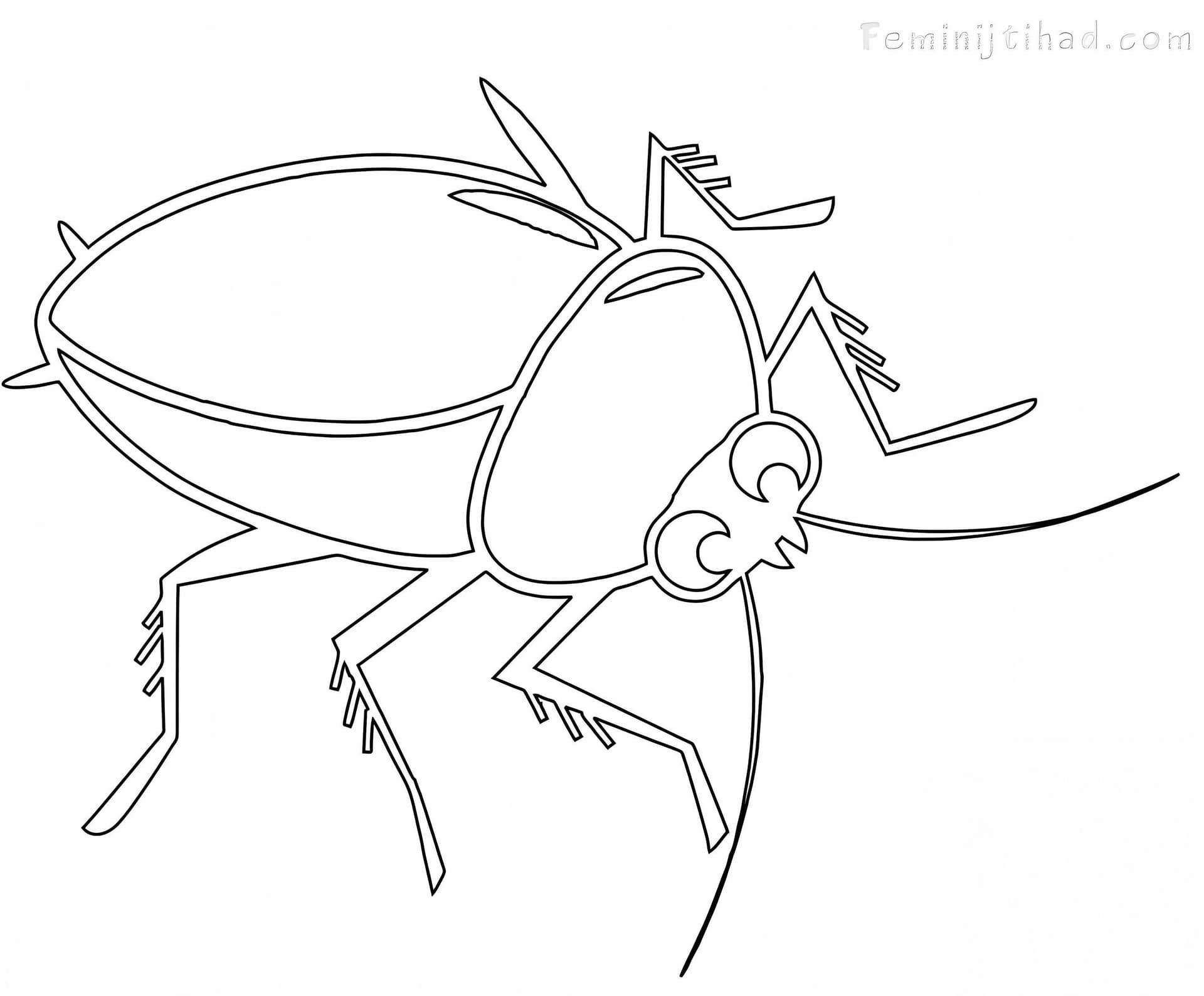 Cockroach Outline