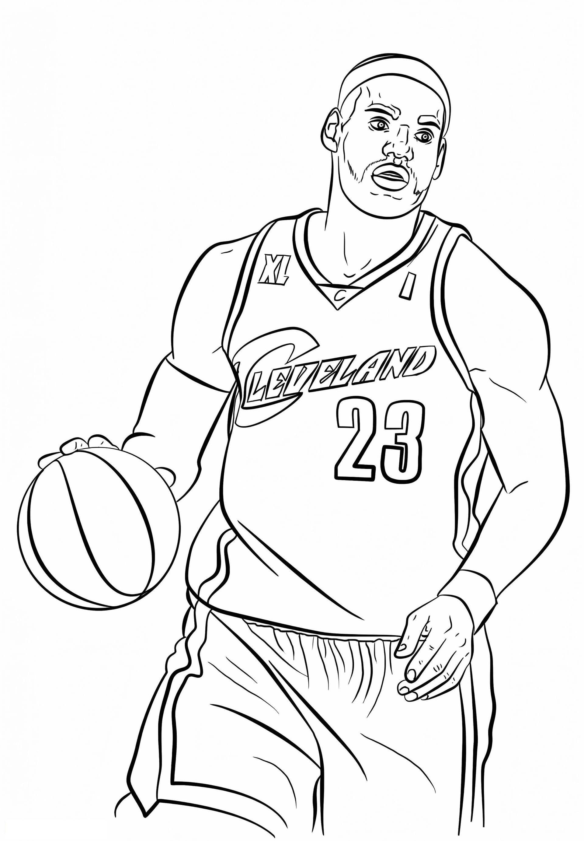 Cool LeBron James
