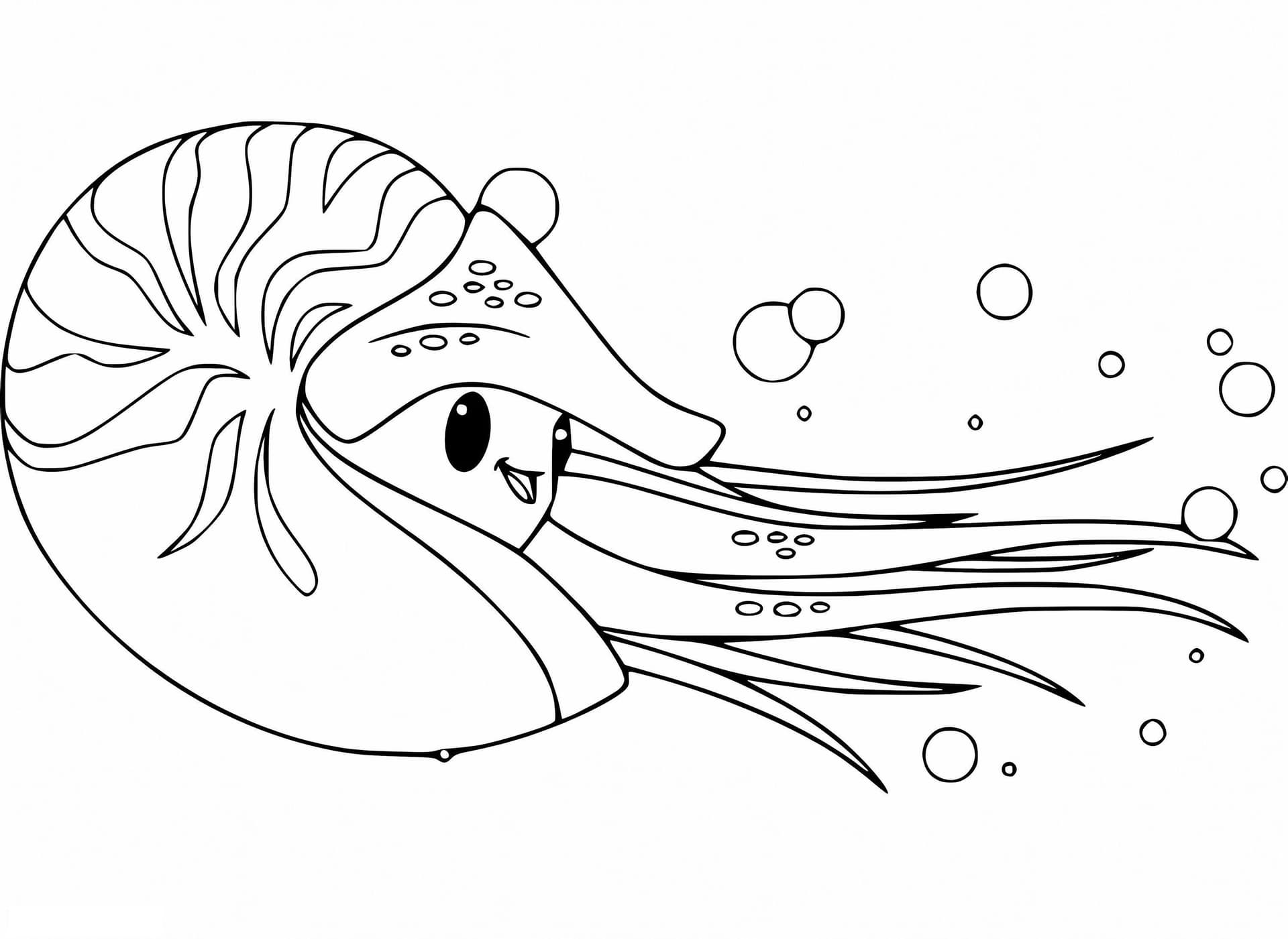 Cute Nautilus