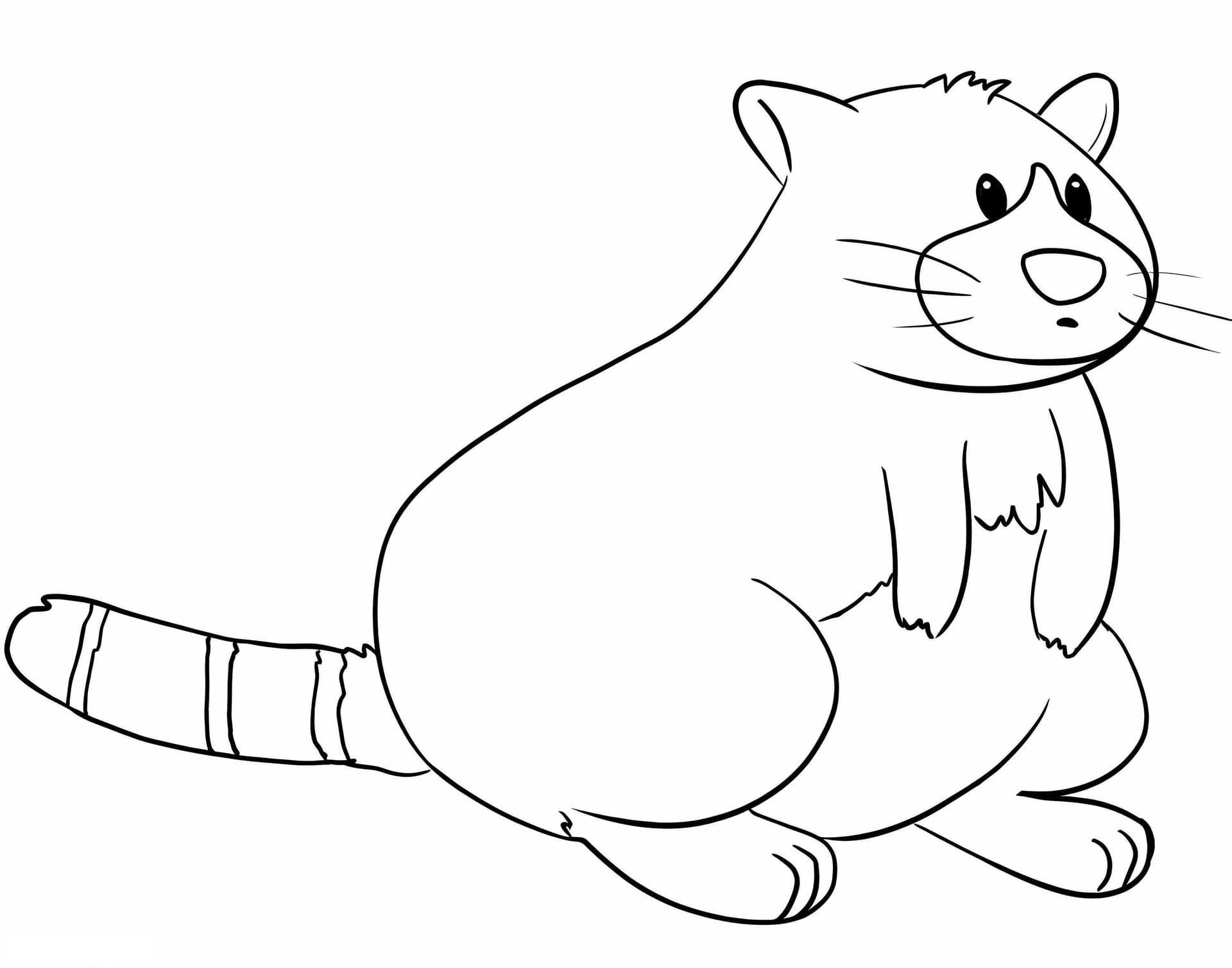 Cute Tree Kangaroo
