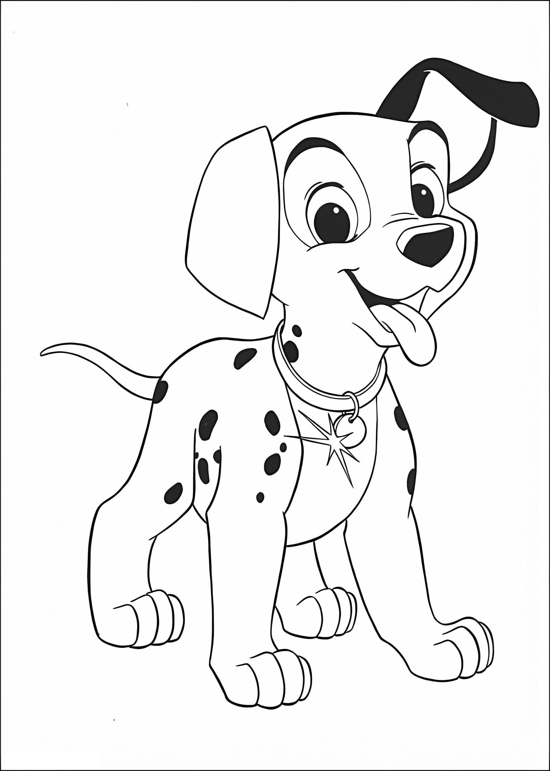 Dalmation Puppy