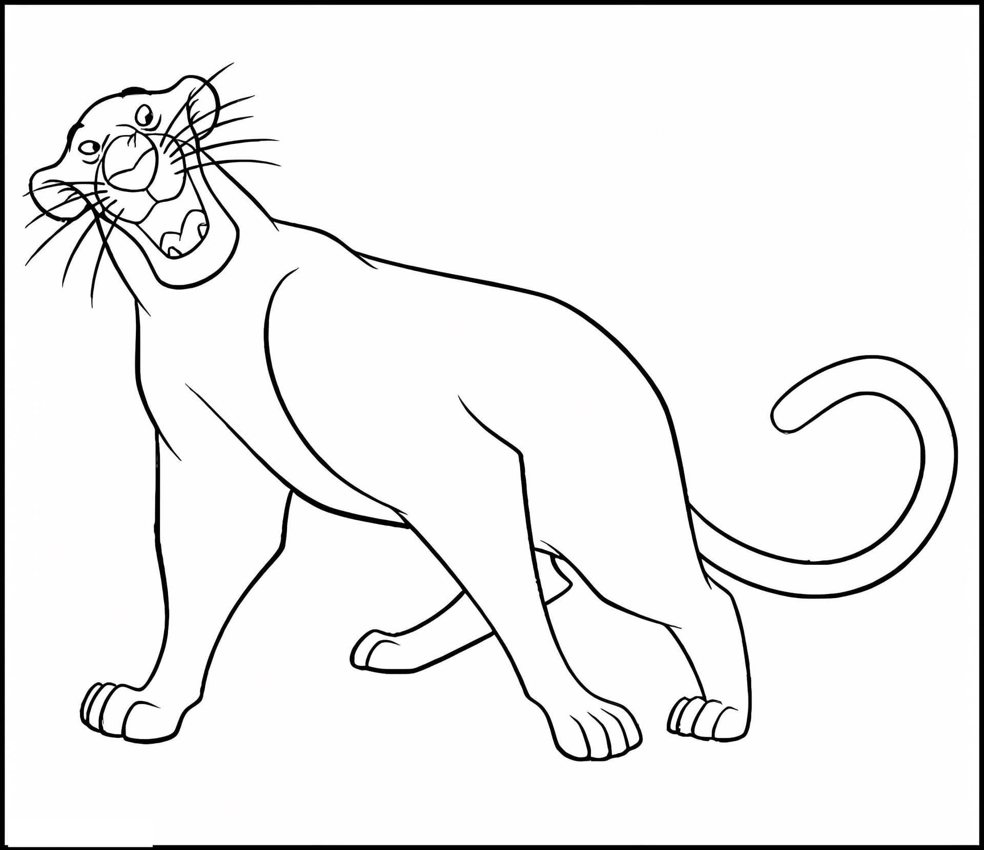 Bagheera Fun