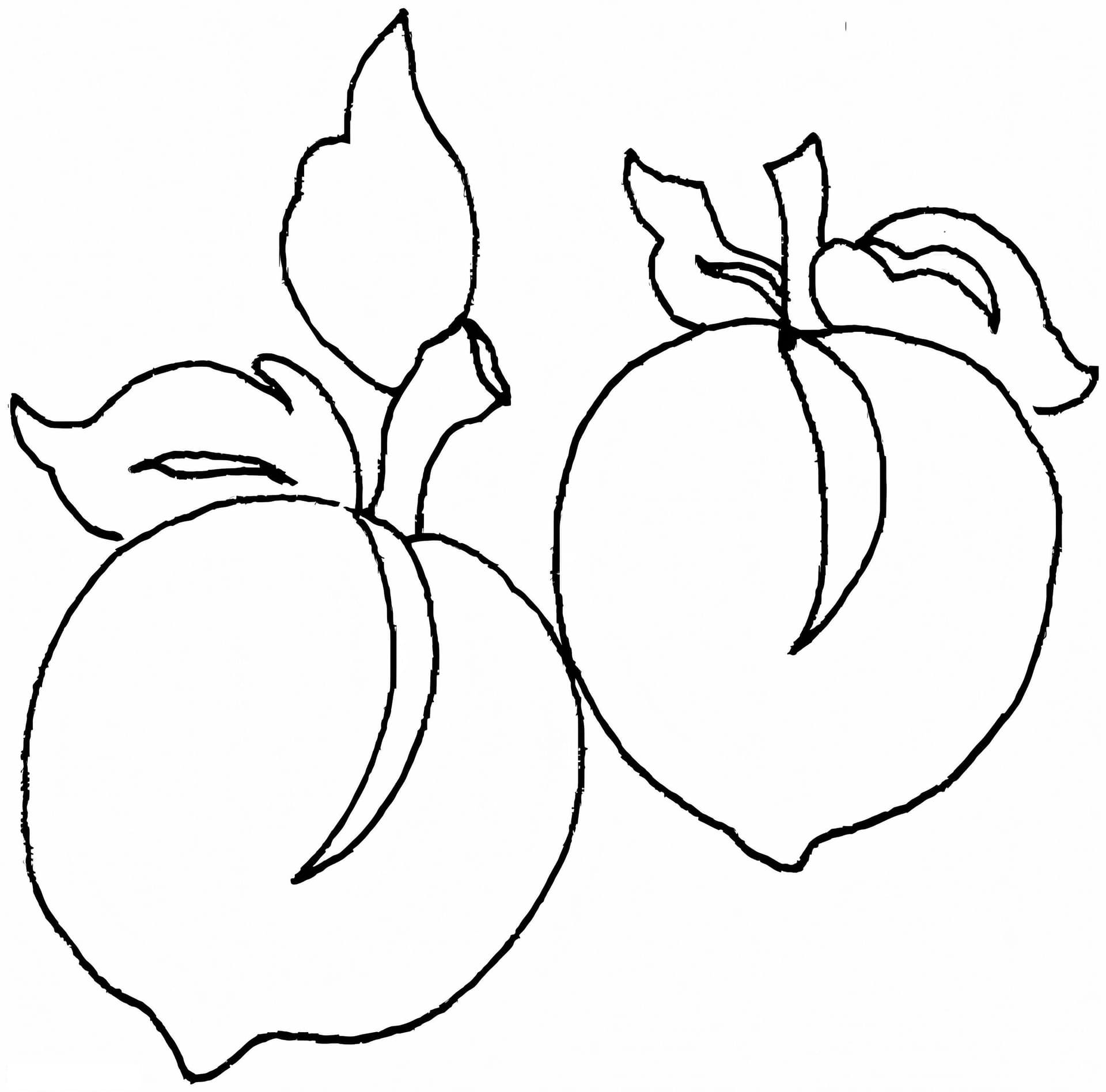 Two Fruit Peaches