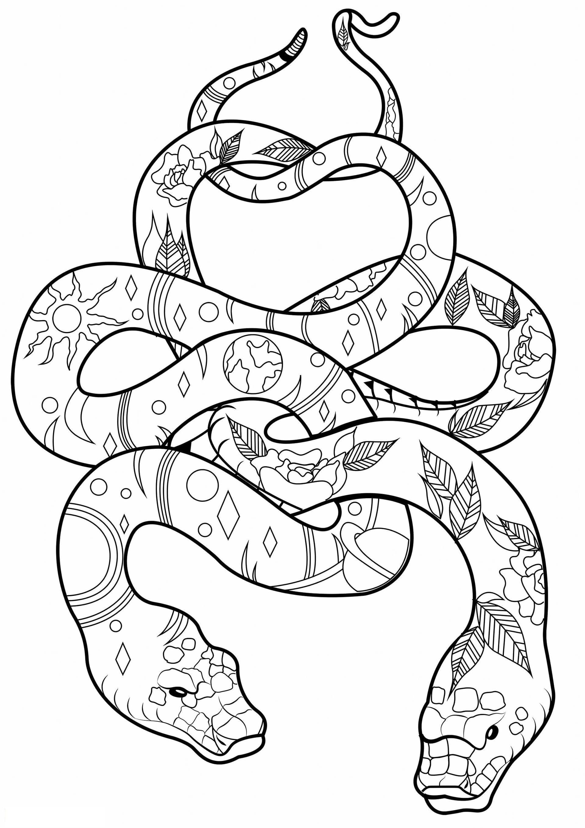 Two Scaled Snakes