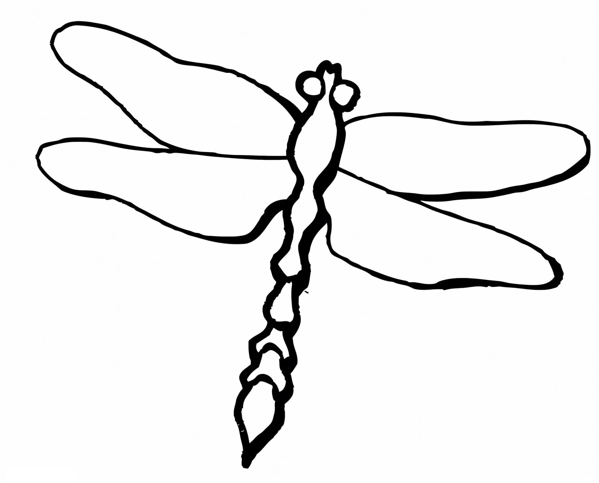 Dragonfly For Kid
