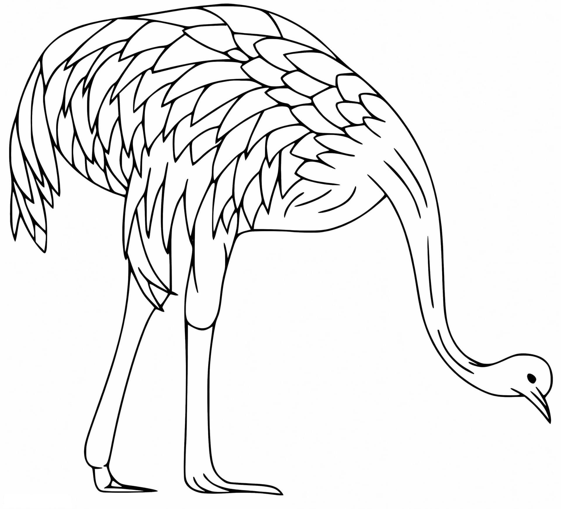 Emu 2