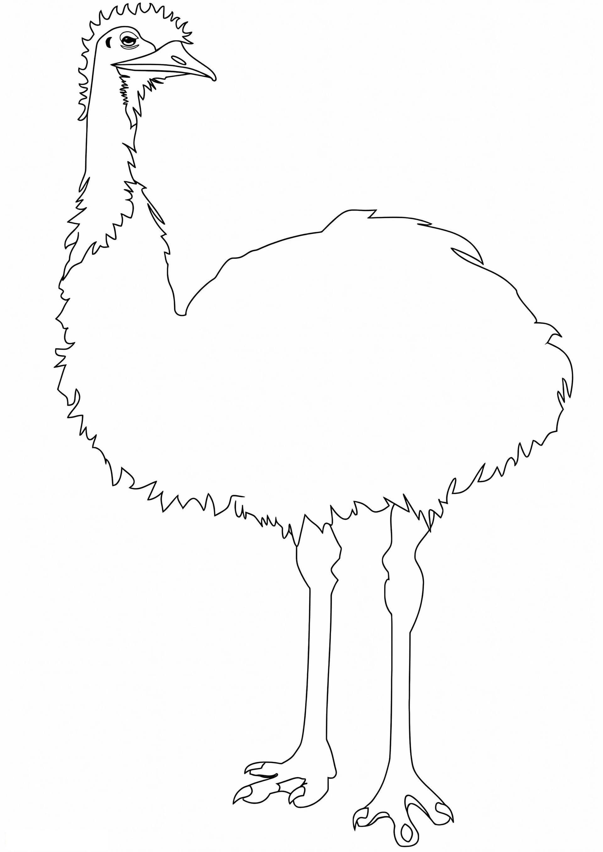 Emu Printable