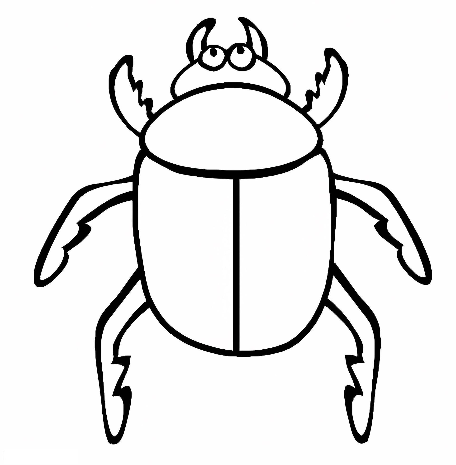 Beetles