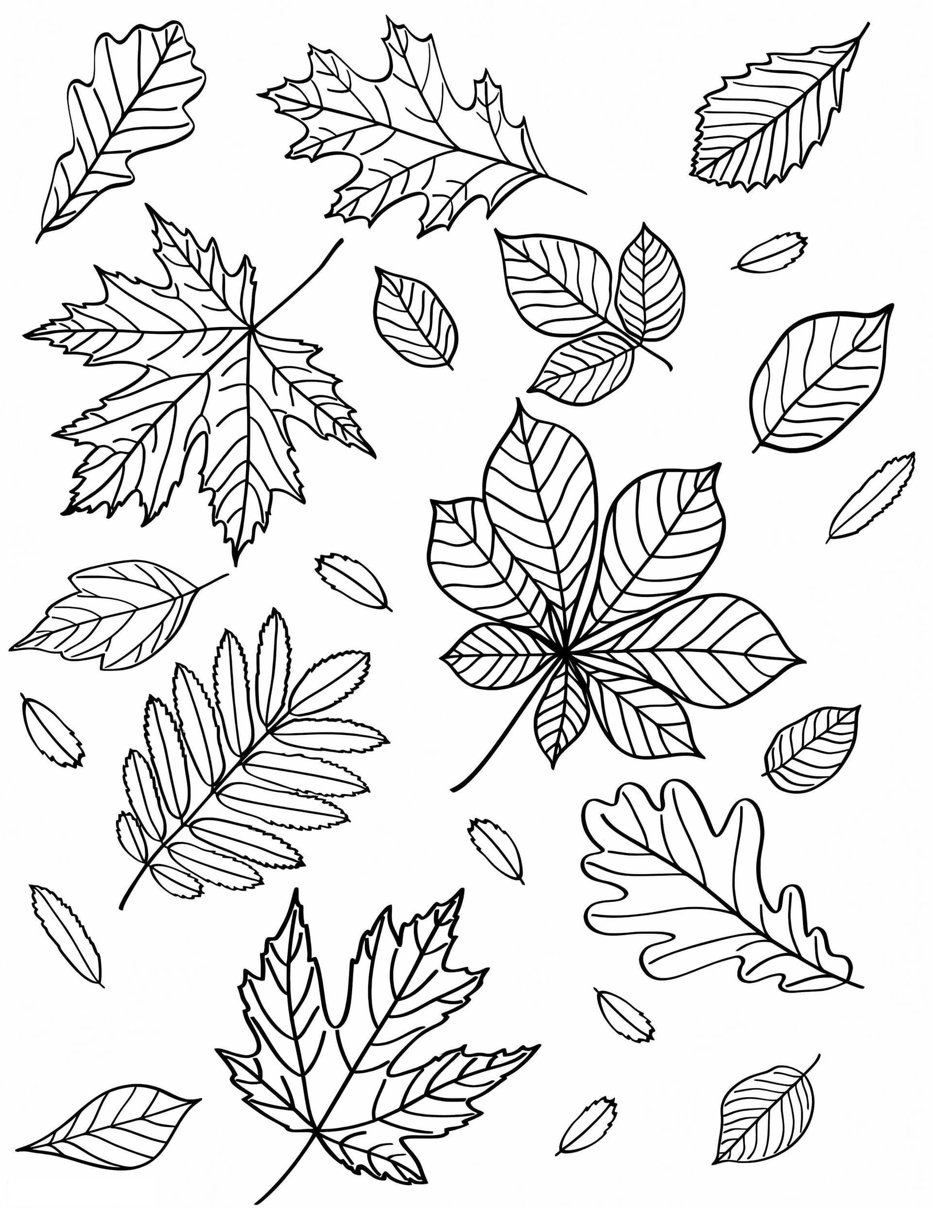 Fall Leaves 2