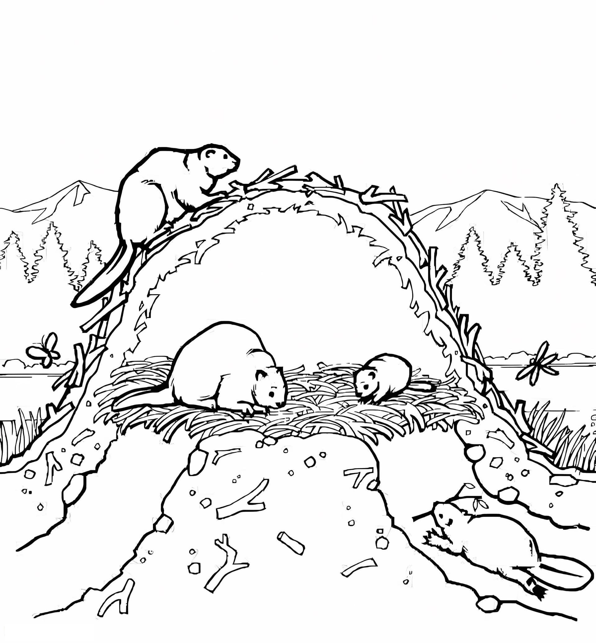 Beaver Family
