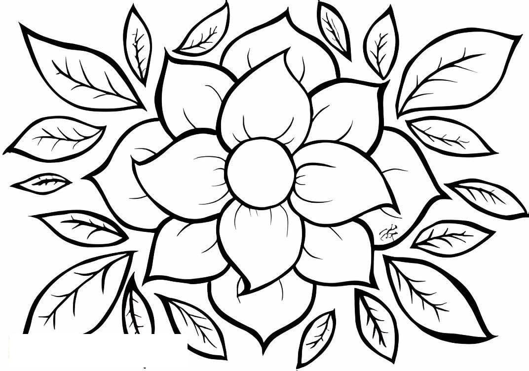 Normal Flower