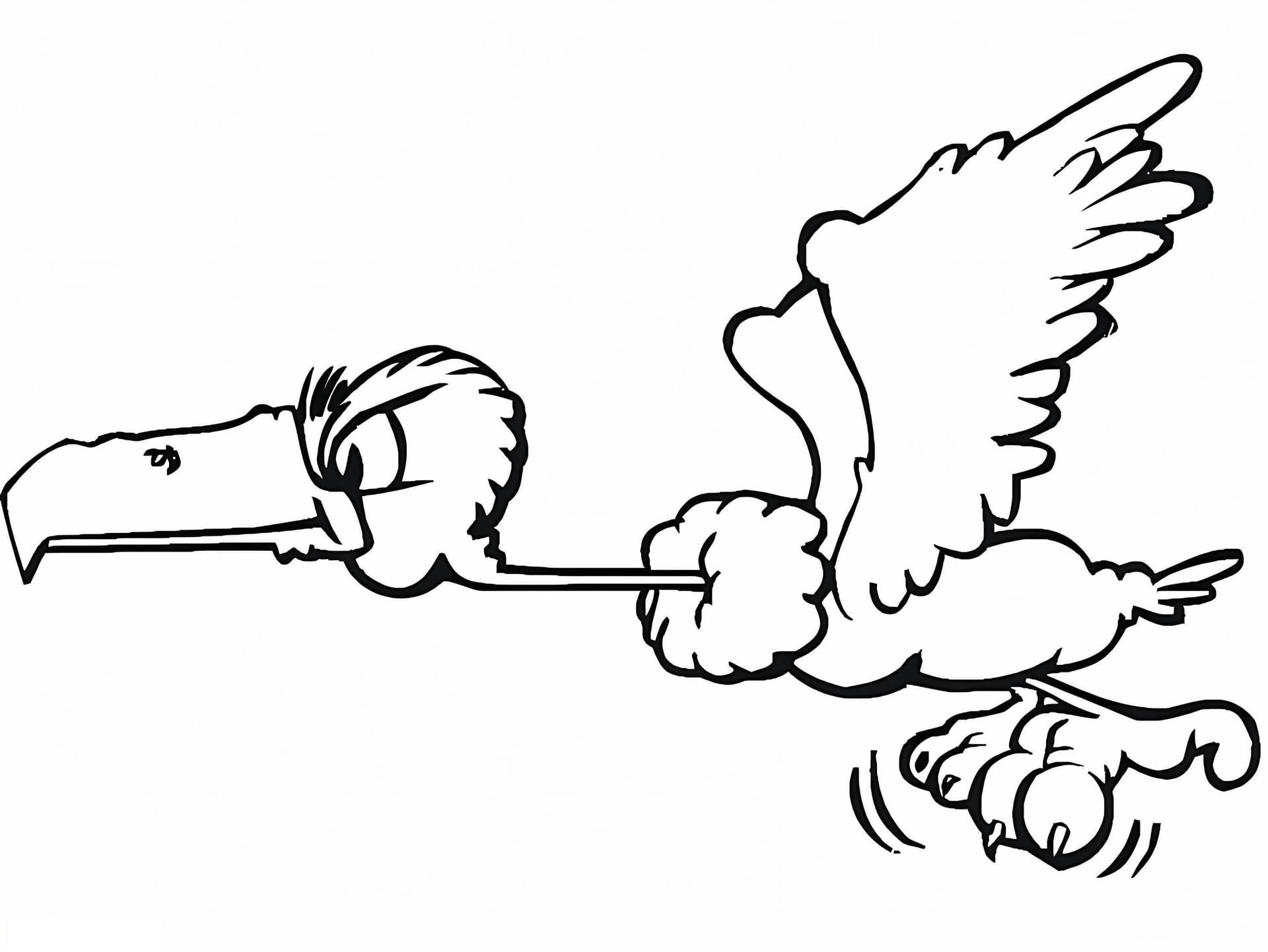 Flying Buzzard