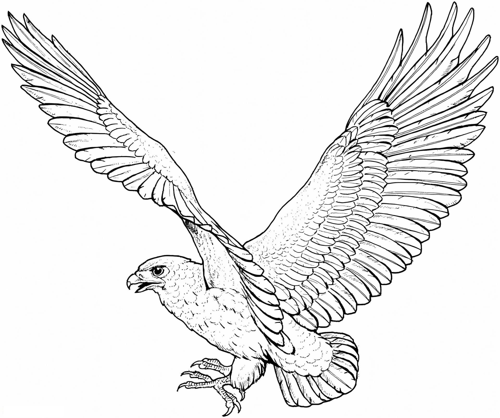 Flying Hawk