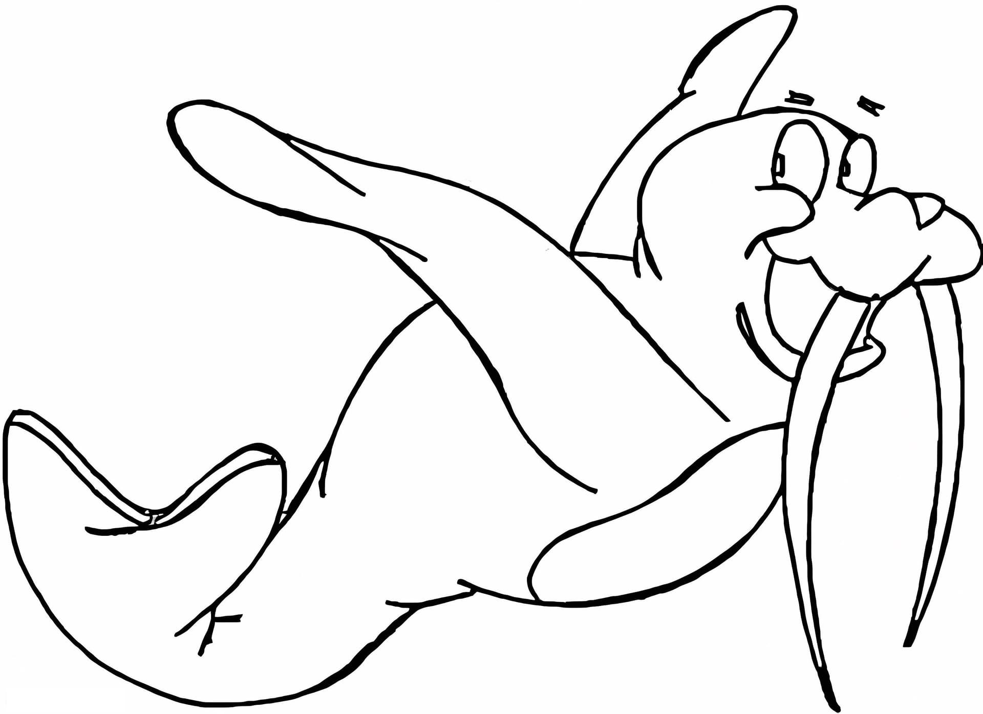 Flying Walrus