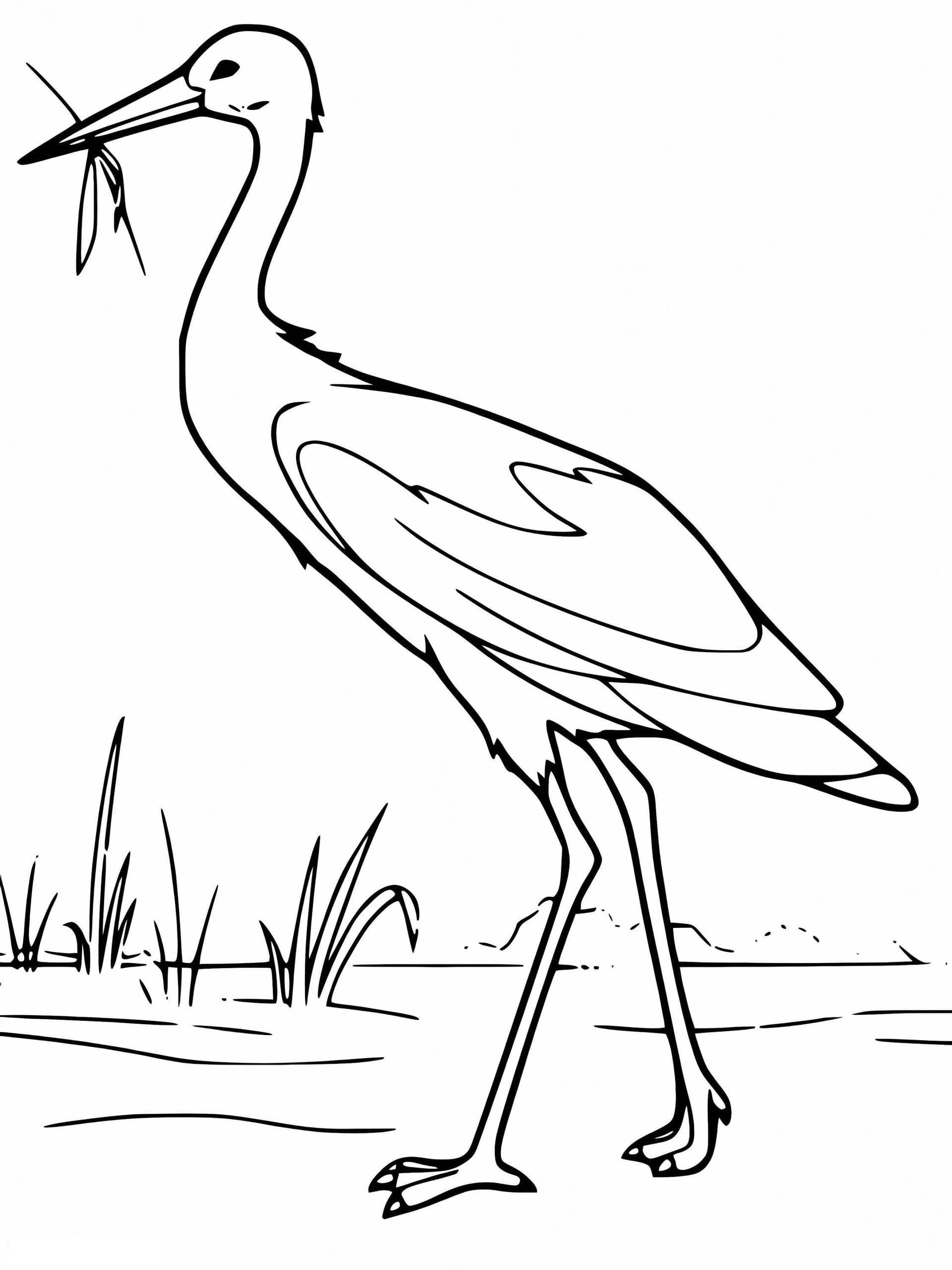 Free Printable Heron
