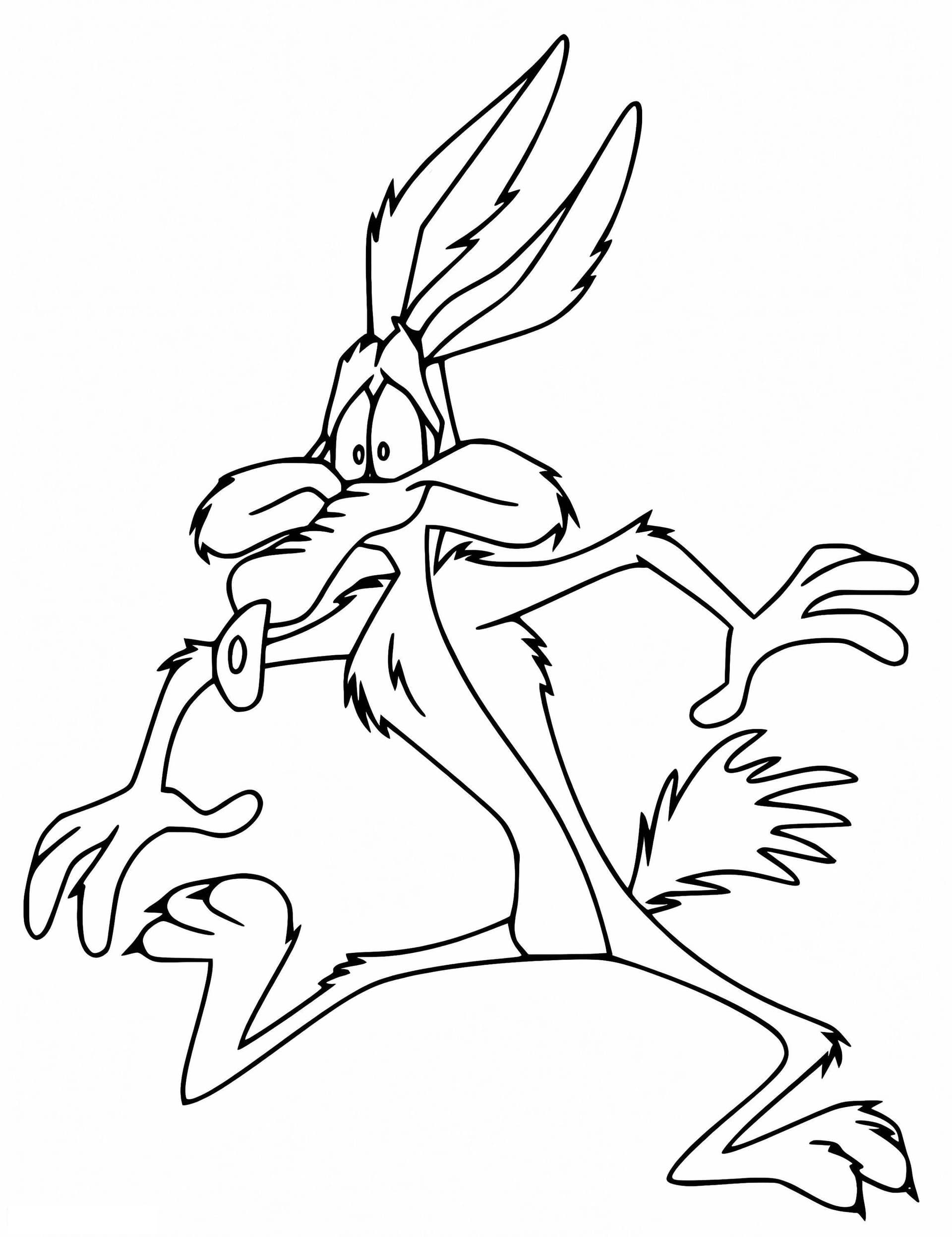 Funny Wile E Coyote