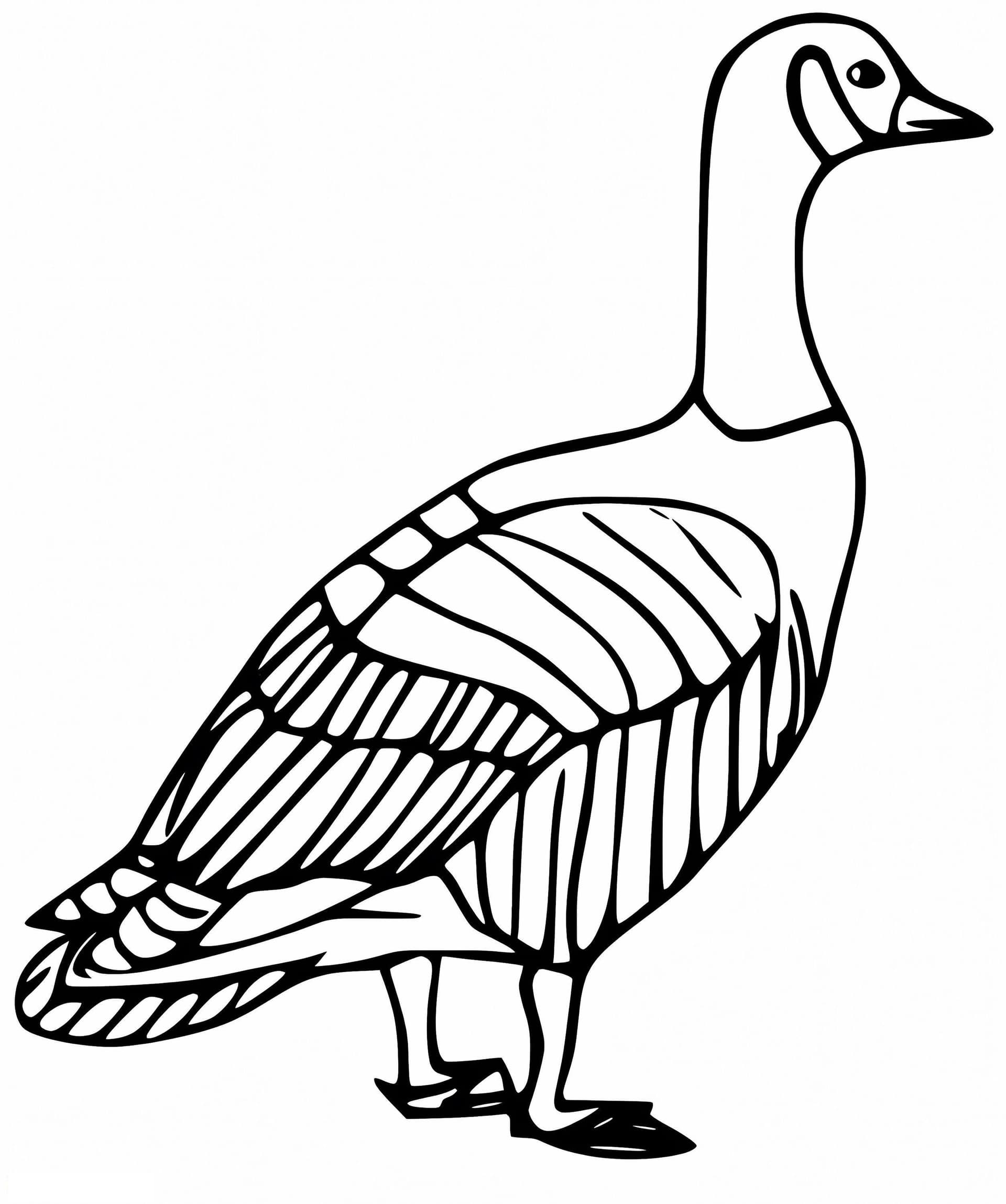 Goose 6