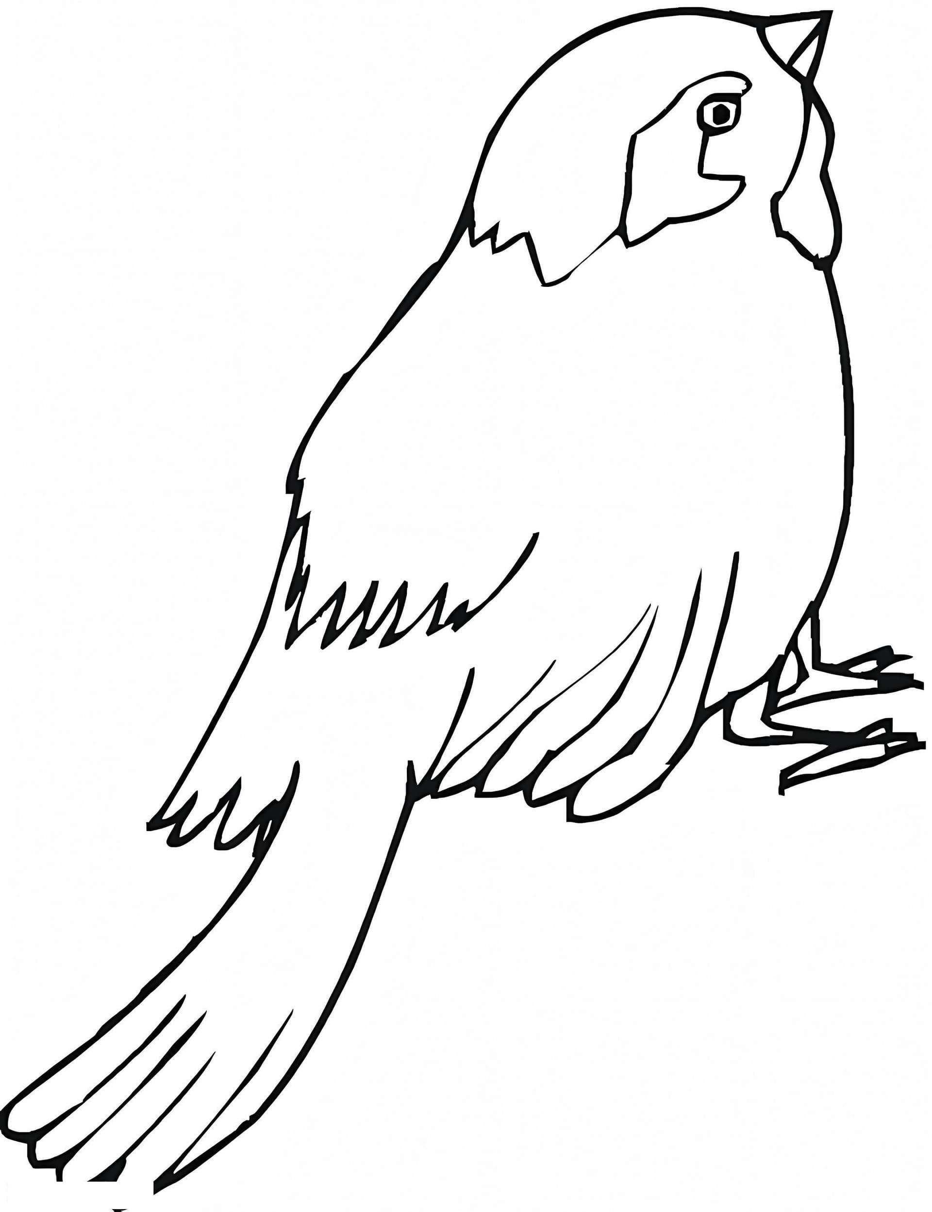 Free Sparrow
