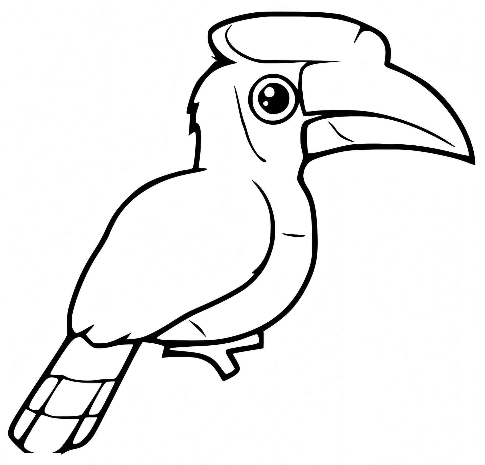 Great Hornbill