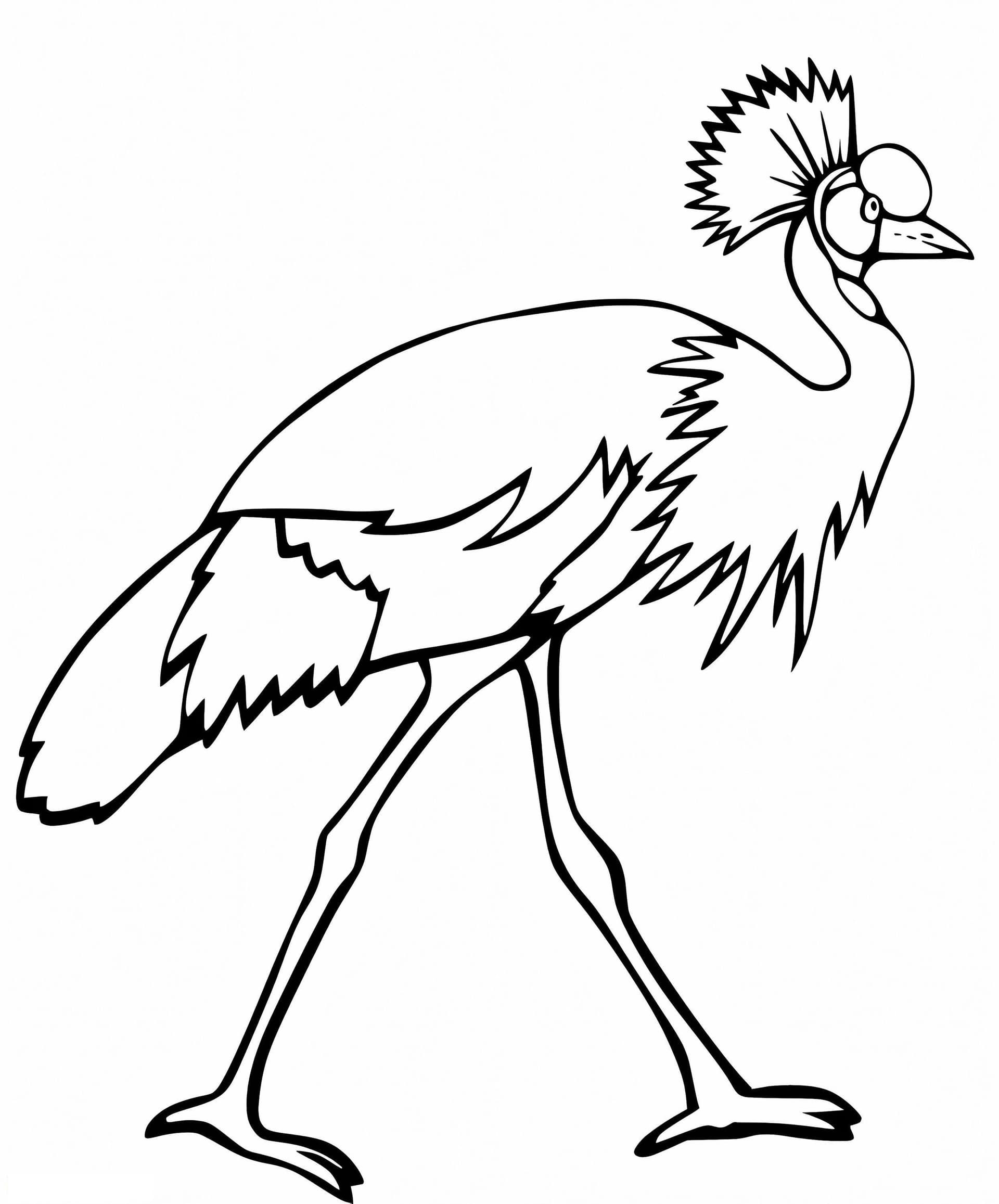 Grey Crowned Crane