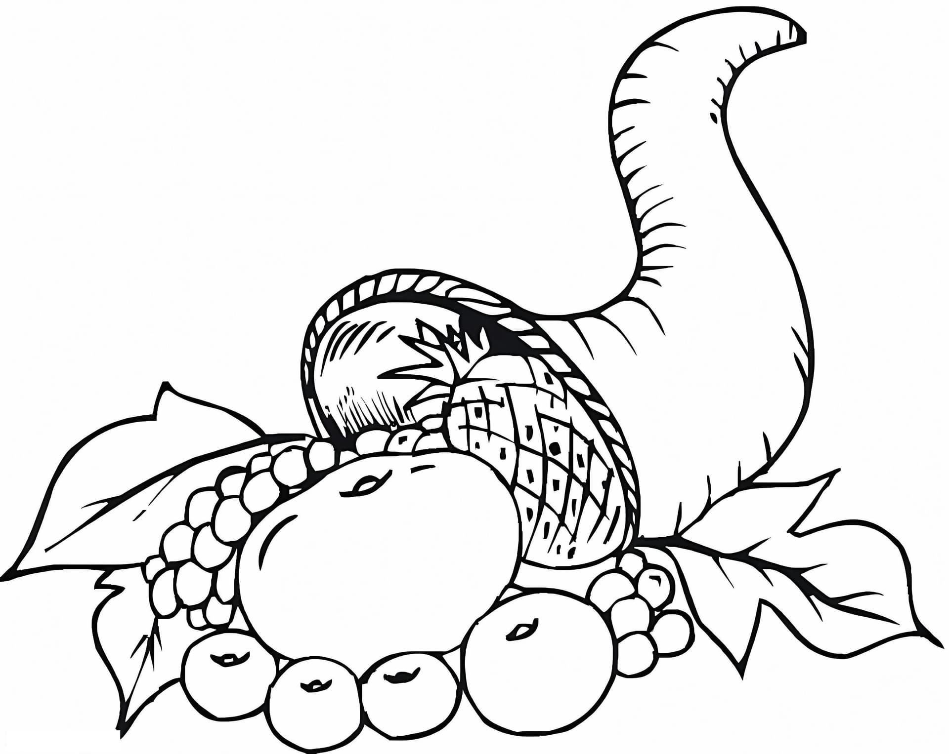 Beautiful Cornucopia