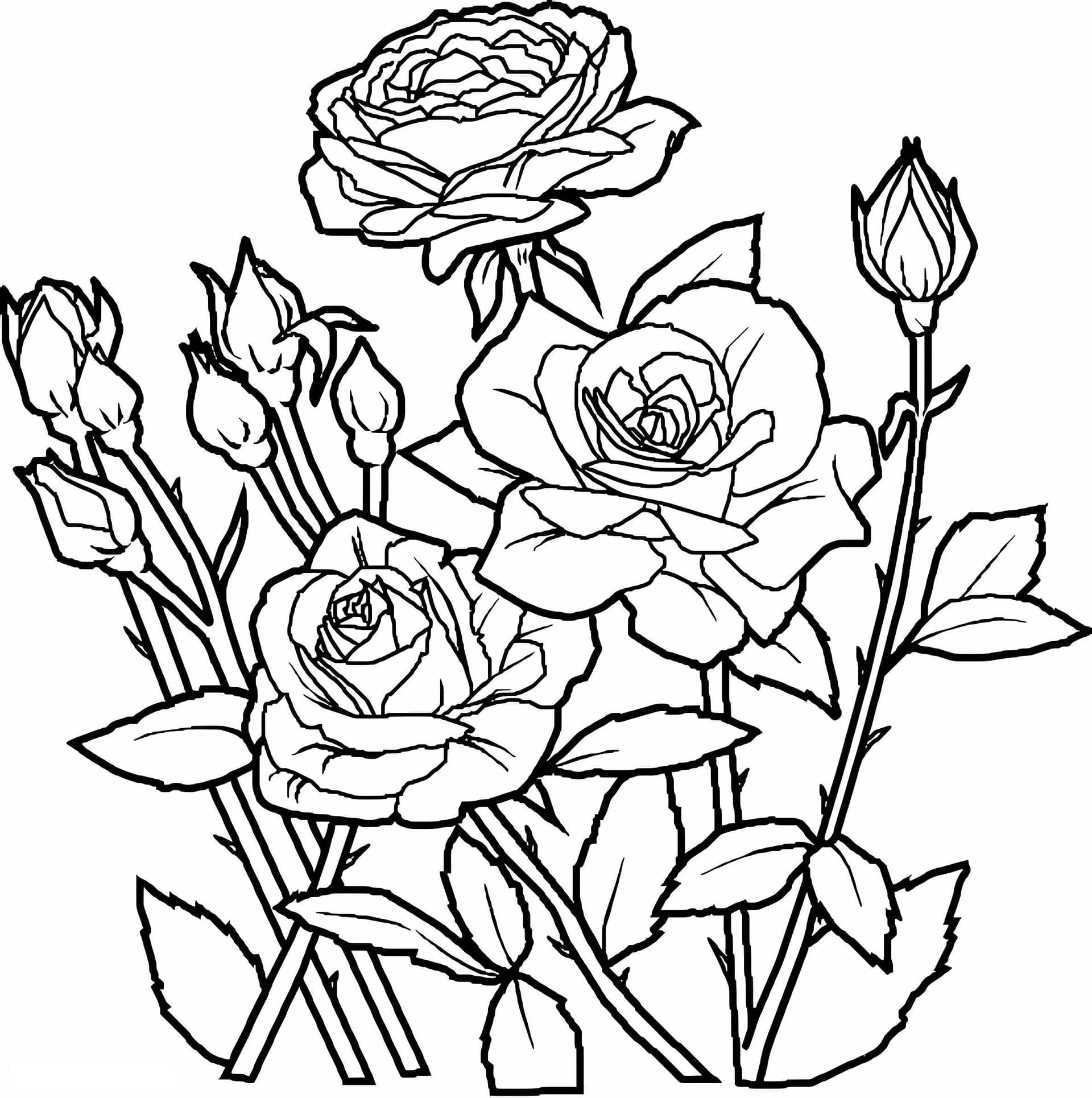 Beautiful Flower 1