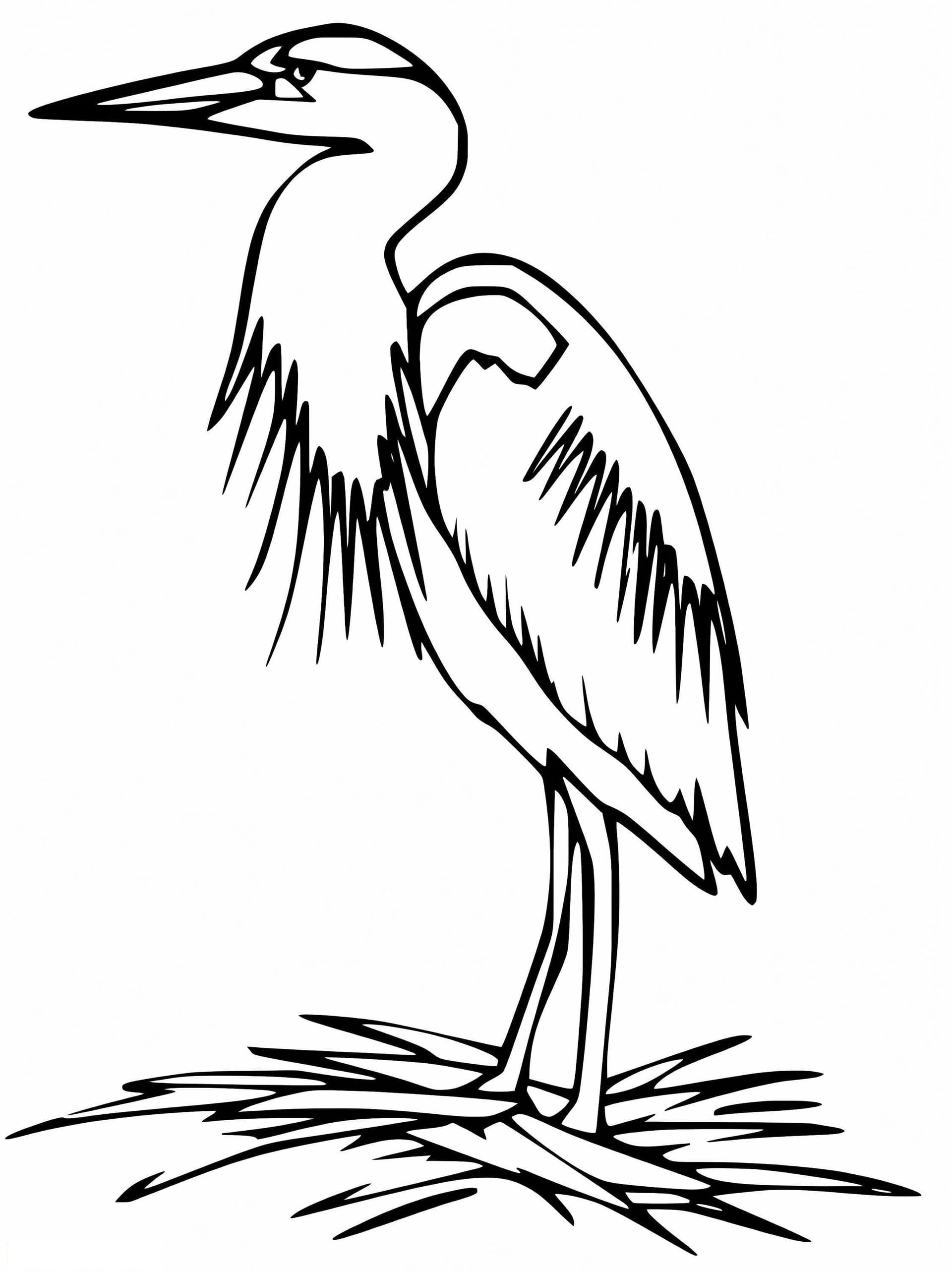 Heron Standing