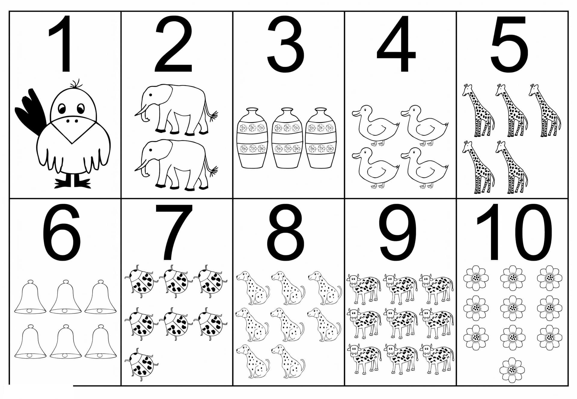 Images From 1 To 10