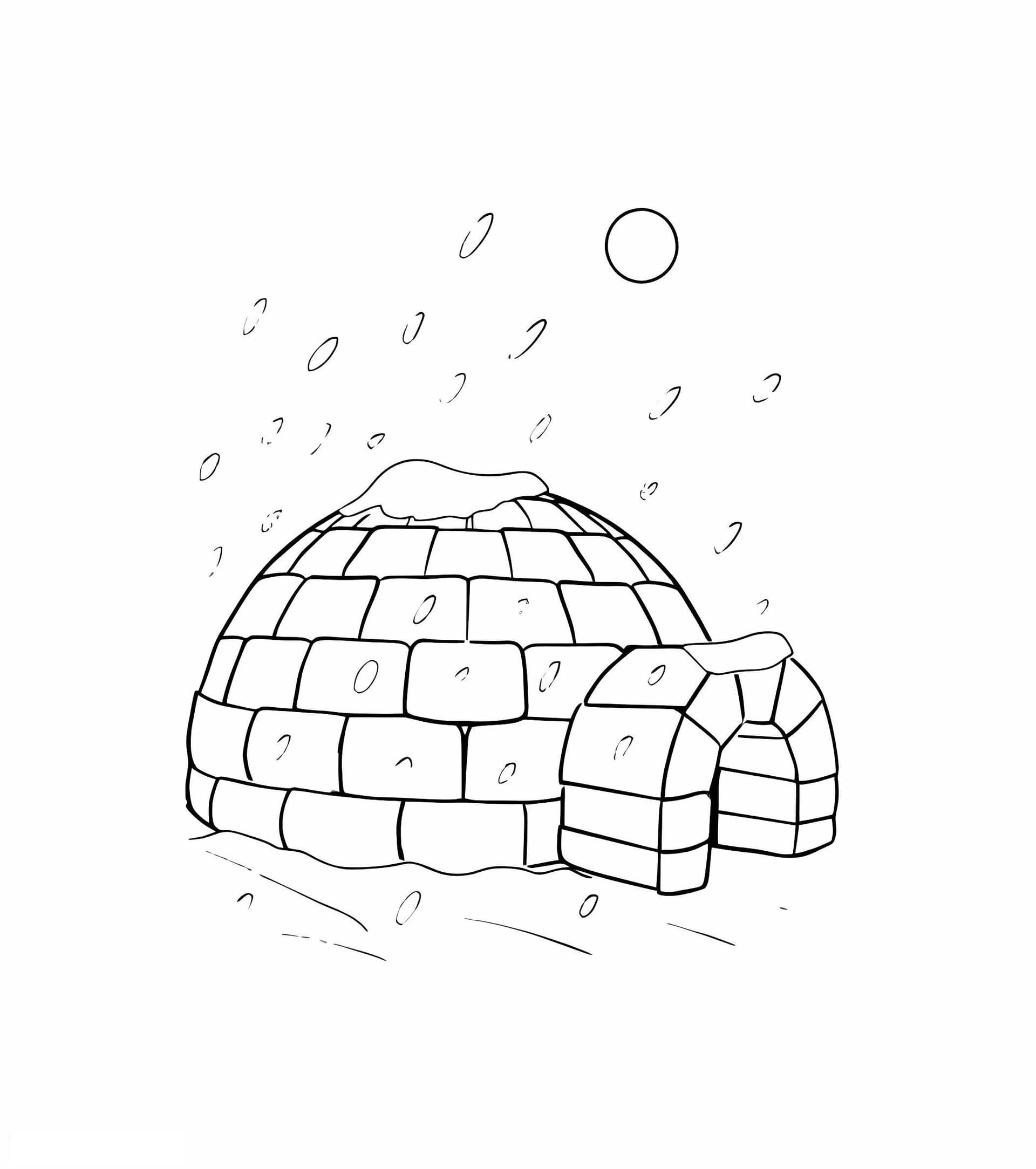 Amazing Igloo