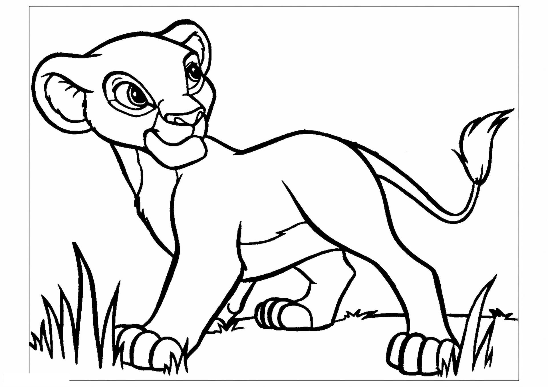 Young Simba Scaled