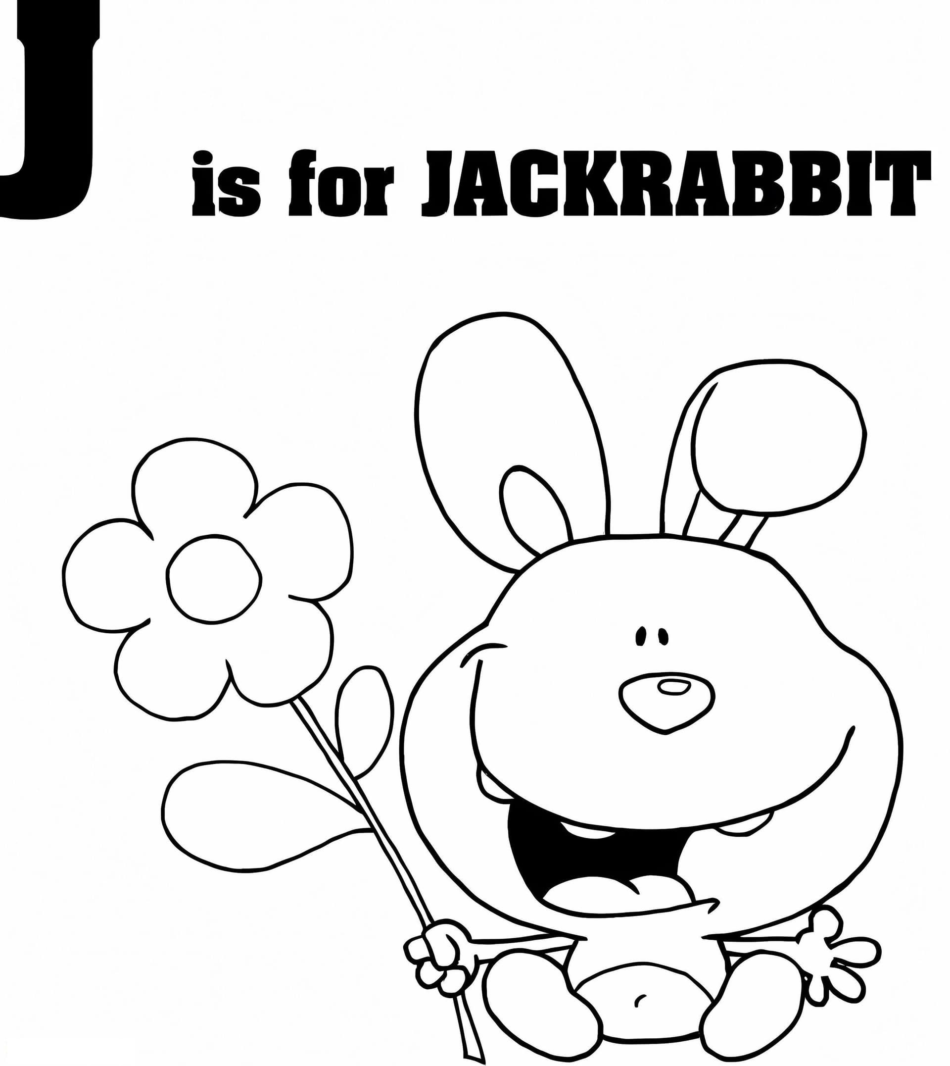 Letter Of Hare J
